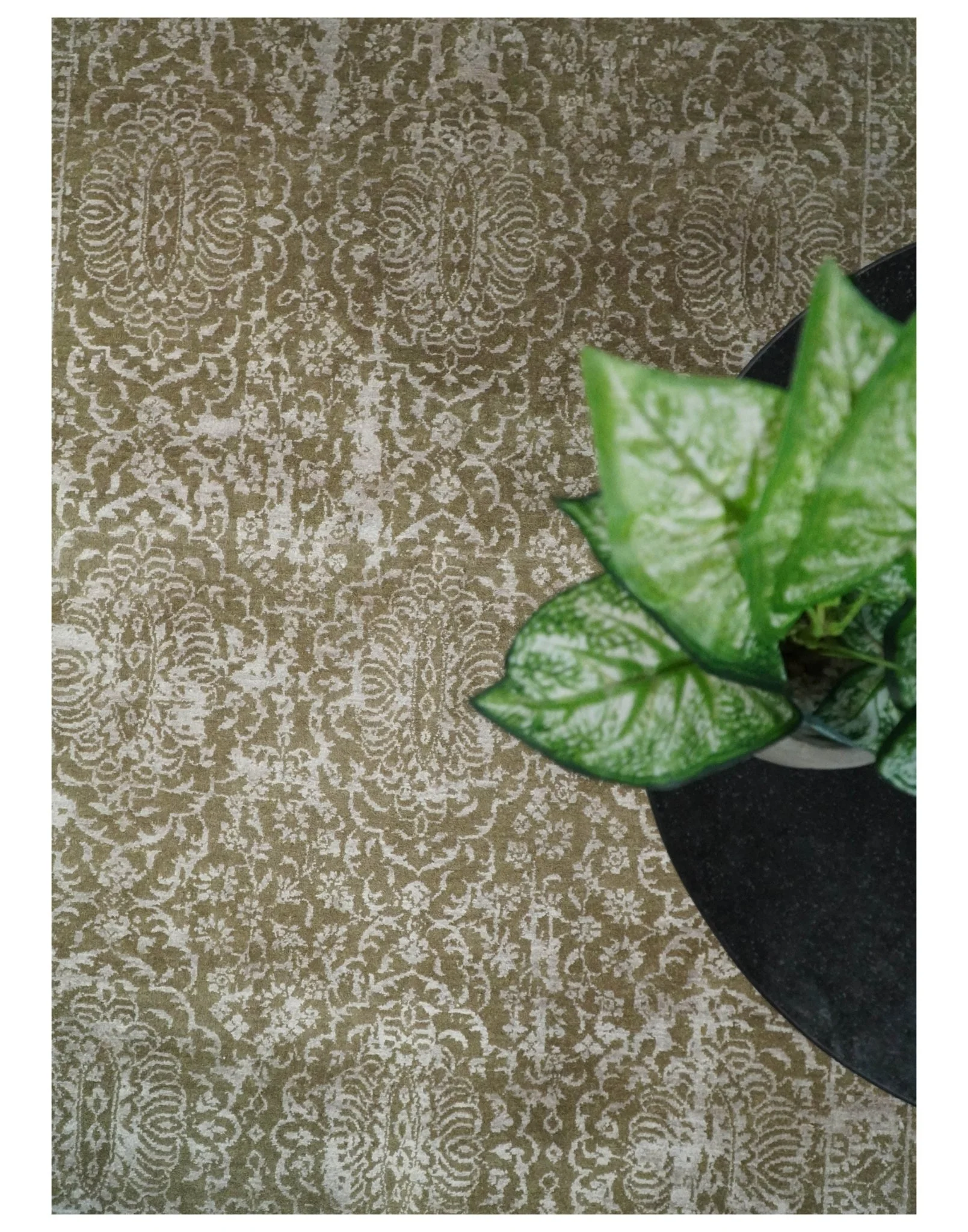 4x6 Fine Hand Knotted Olive and Silver Traditional Vintage Persian Style Antique Wool and SIlk Rug | AGR16 - Image 10