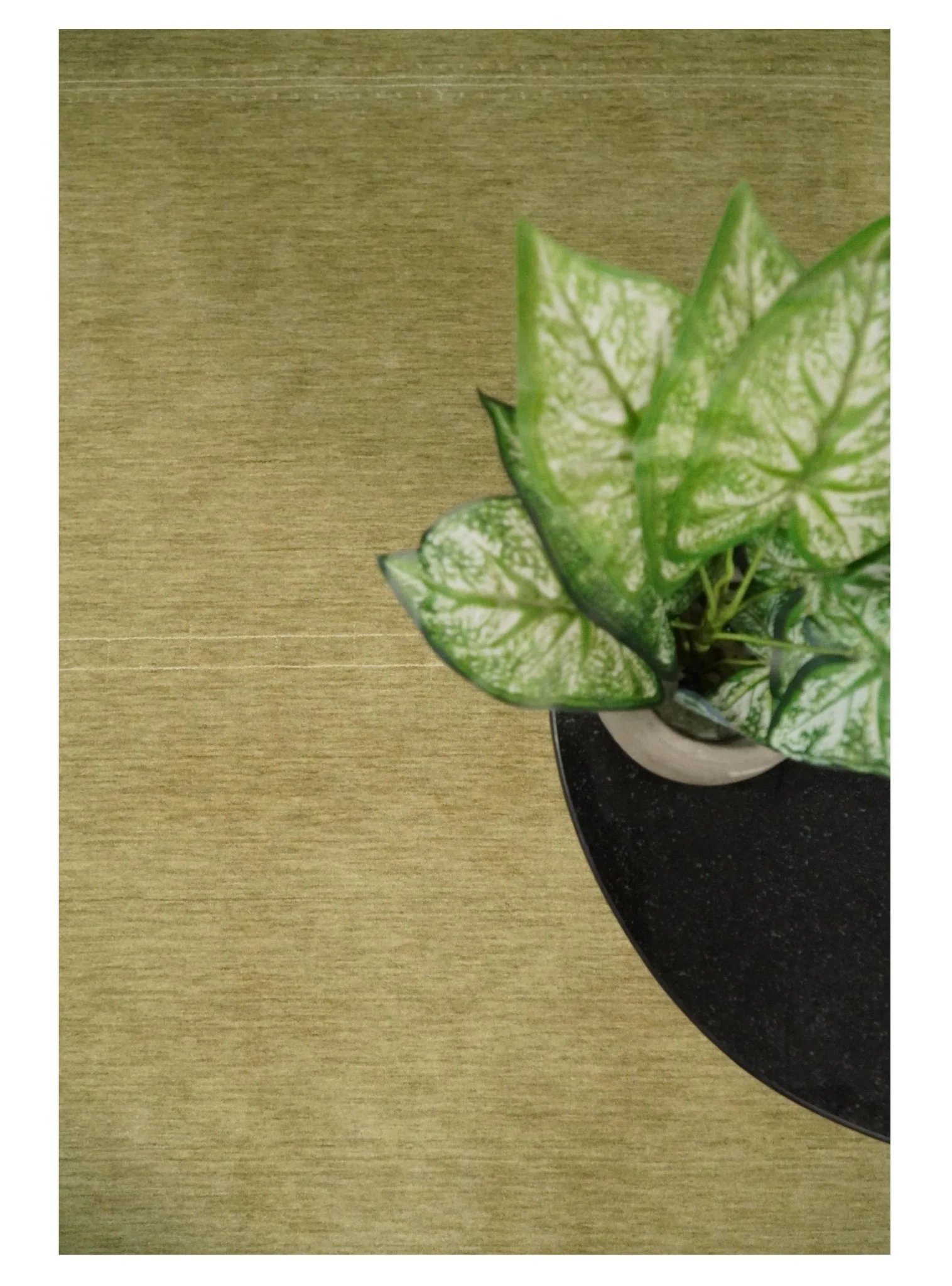 4x6 Small Solid Beige Wool Hand Woven Southwestern Gabbeh Rug | LOR11 - Image 10