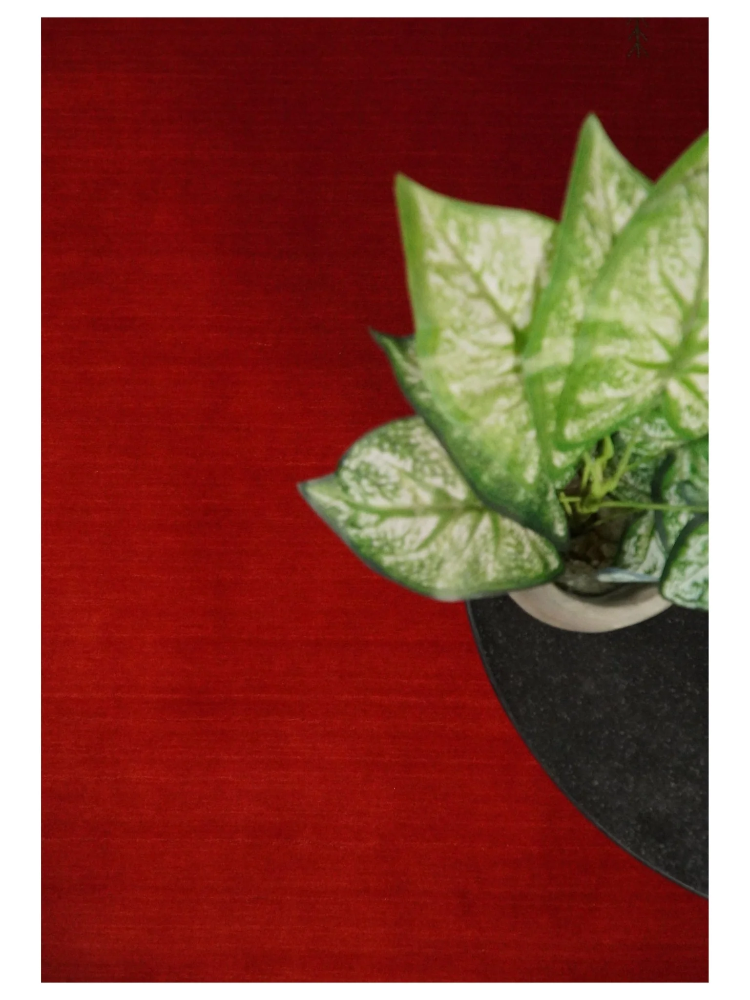 4x6 Small Solid Red Wool Hand Woven Southwestern Gabbeh Rug | LOR23 - Image 10