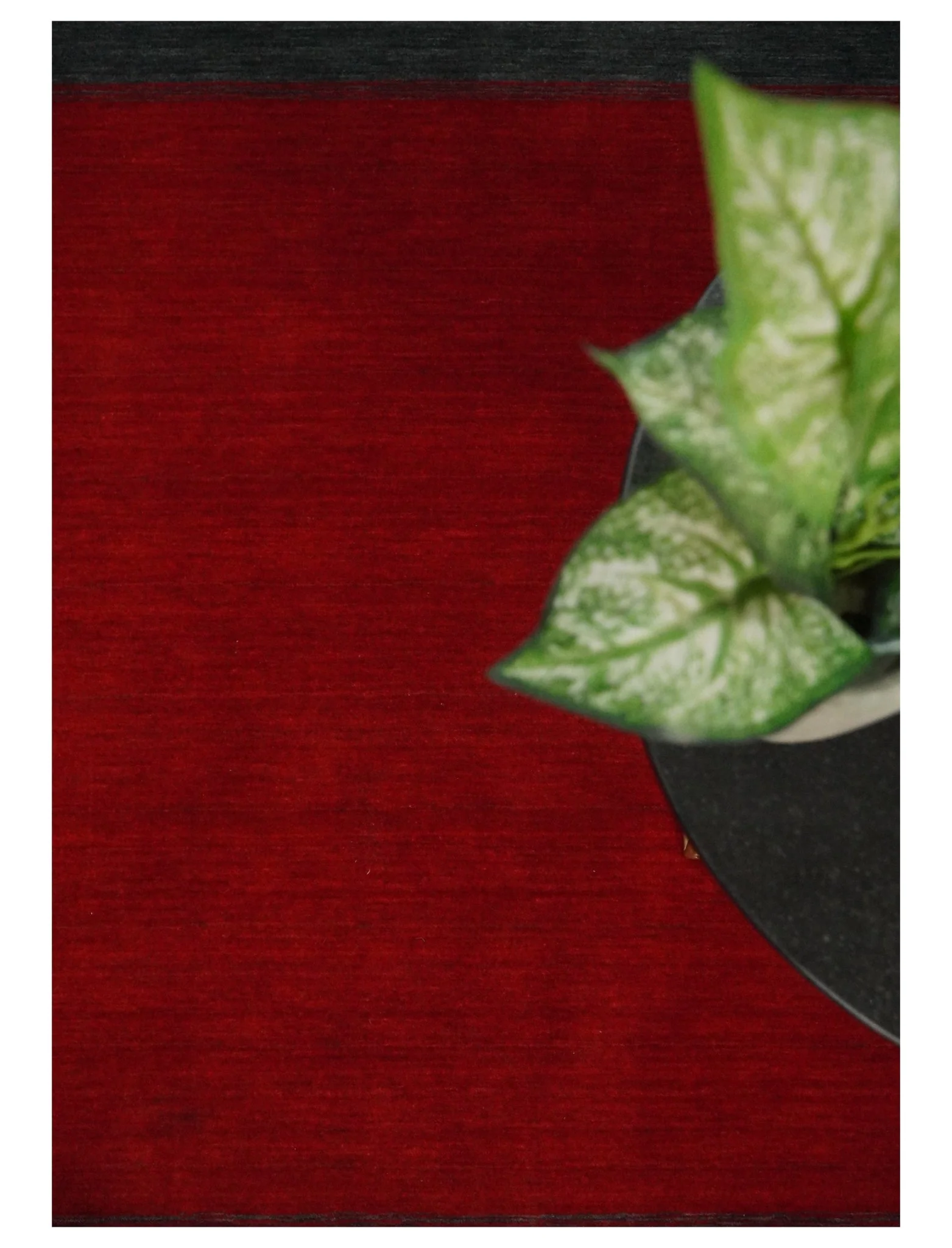 4x6 Small Solid Red Wool Hand Woven Southwestern Gabbeh Rug | LOR24 - Image 9