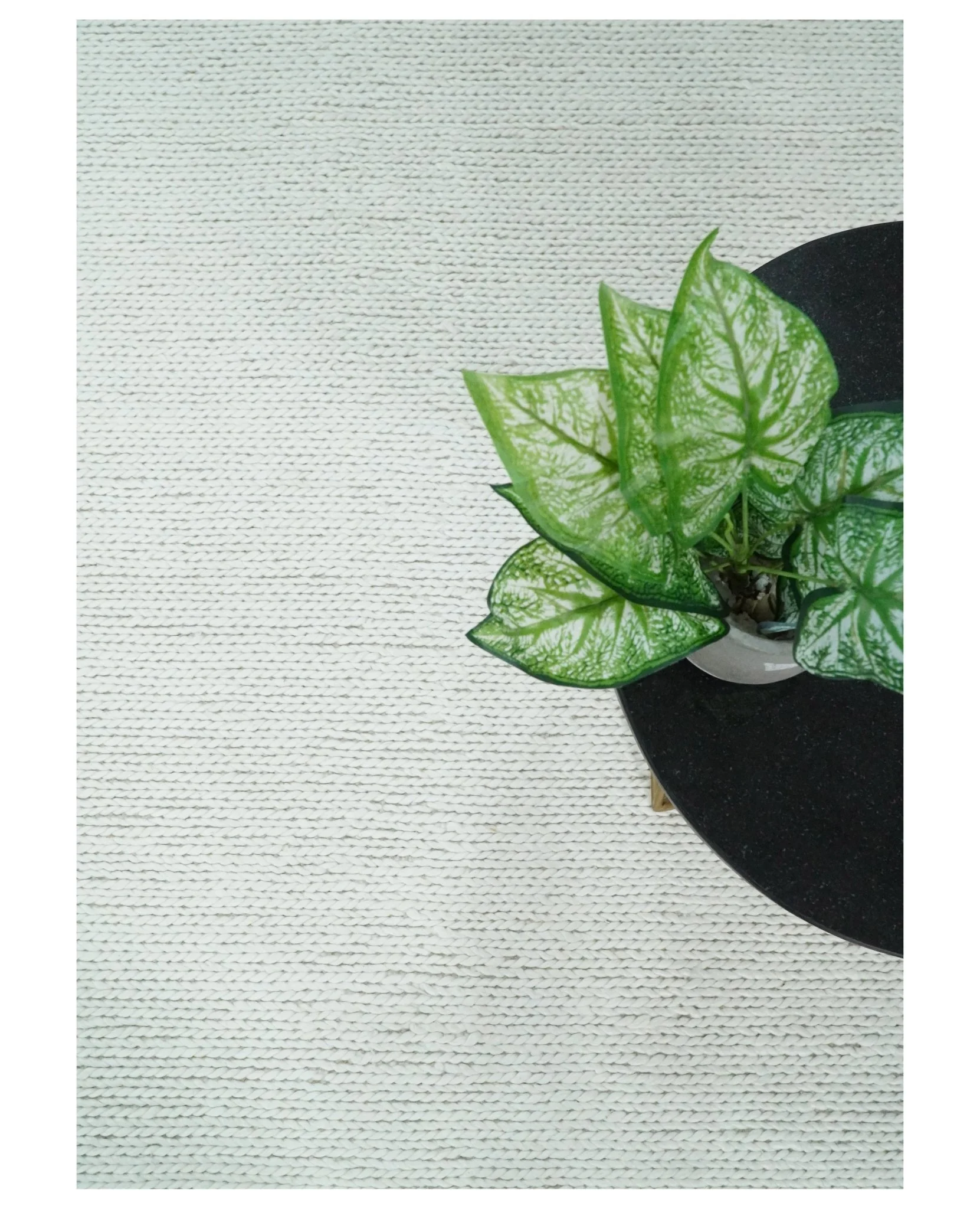 5x8 and 8x10 Braided Wool Solid White Felted Chunky Hand Woven Soft Plush Area Rug | DOV6 - Image 9