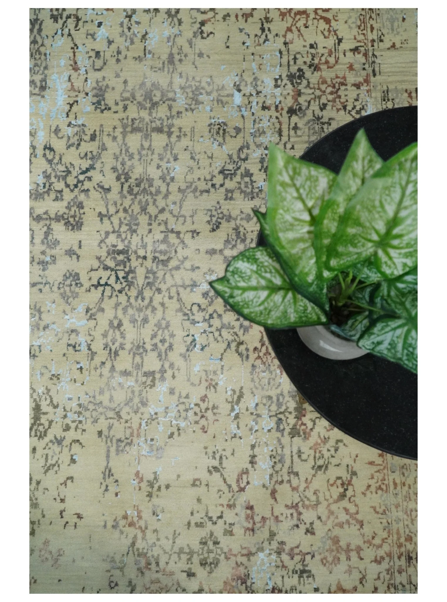 6x9 Fine Hand Knotted Beige and Rust Traditional Vintage Persian Style Antique Wool and Silk Rug | AGR2 - Image 6