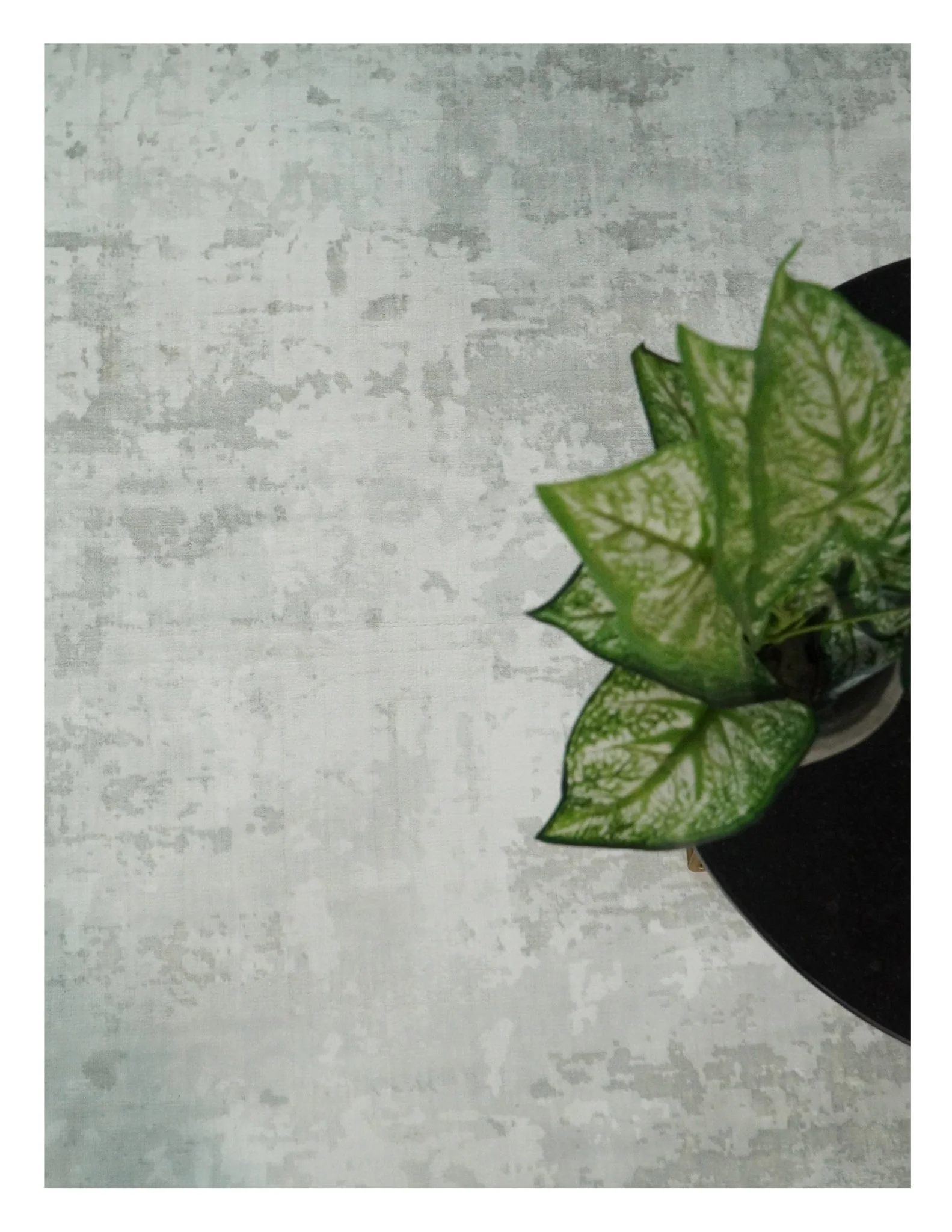 7.11x9.7 Modern Abstract Ivory and Camel Contemporary Wool Area Rug - Image 6