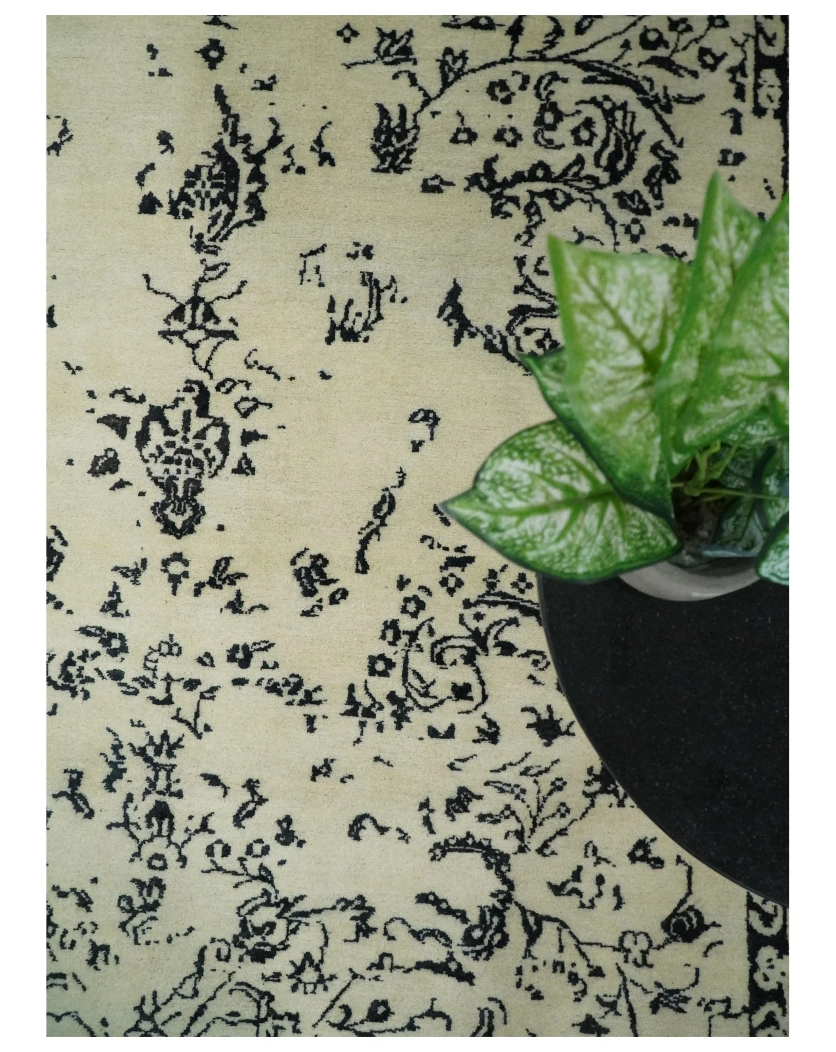 8x10 Fine Hand Knotted Beige and Black Traditional Vintage Persian Antique Wool Rug | AGR35 - Image 6