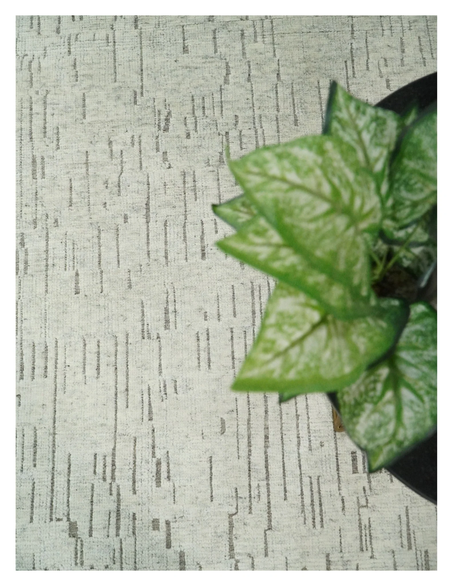 8x10 Hand Knotted Woolen Modern Contemporary Beige and Gray Tribal Area Rug | TRDCP637810 - Image 9