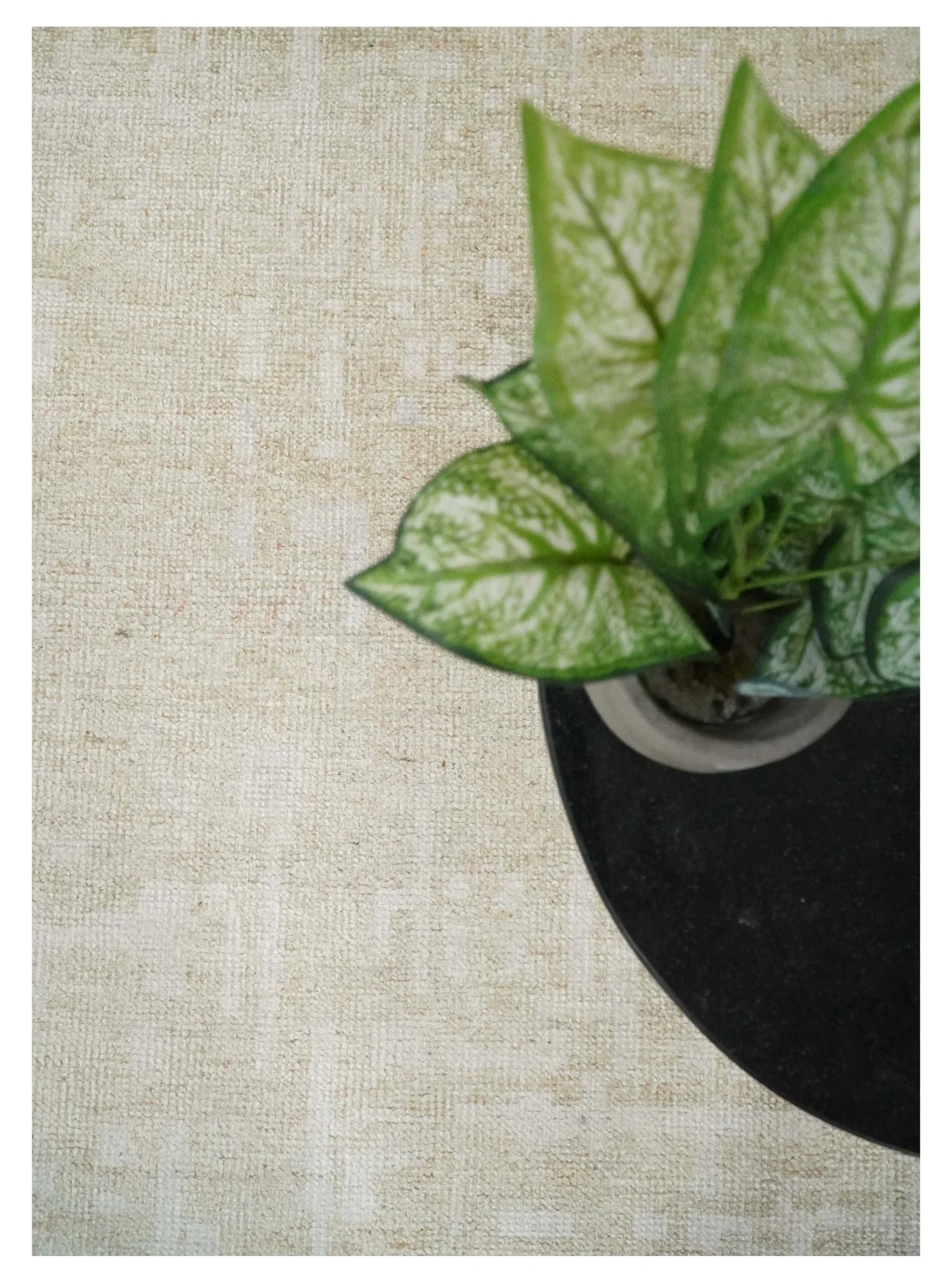 8x10, 9x12 and 10x14 Hand Knotted Ivory and Beige Modern Abstract Contemporary Recycled Silk Area Rug | OP14 - Image 10