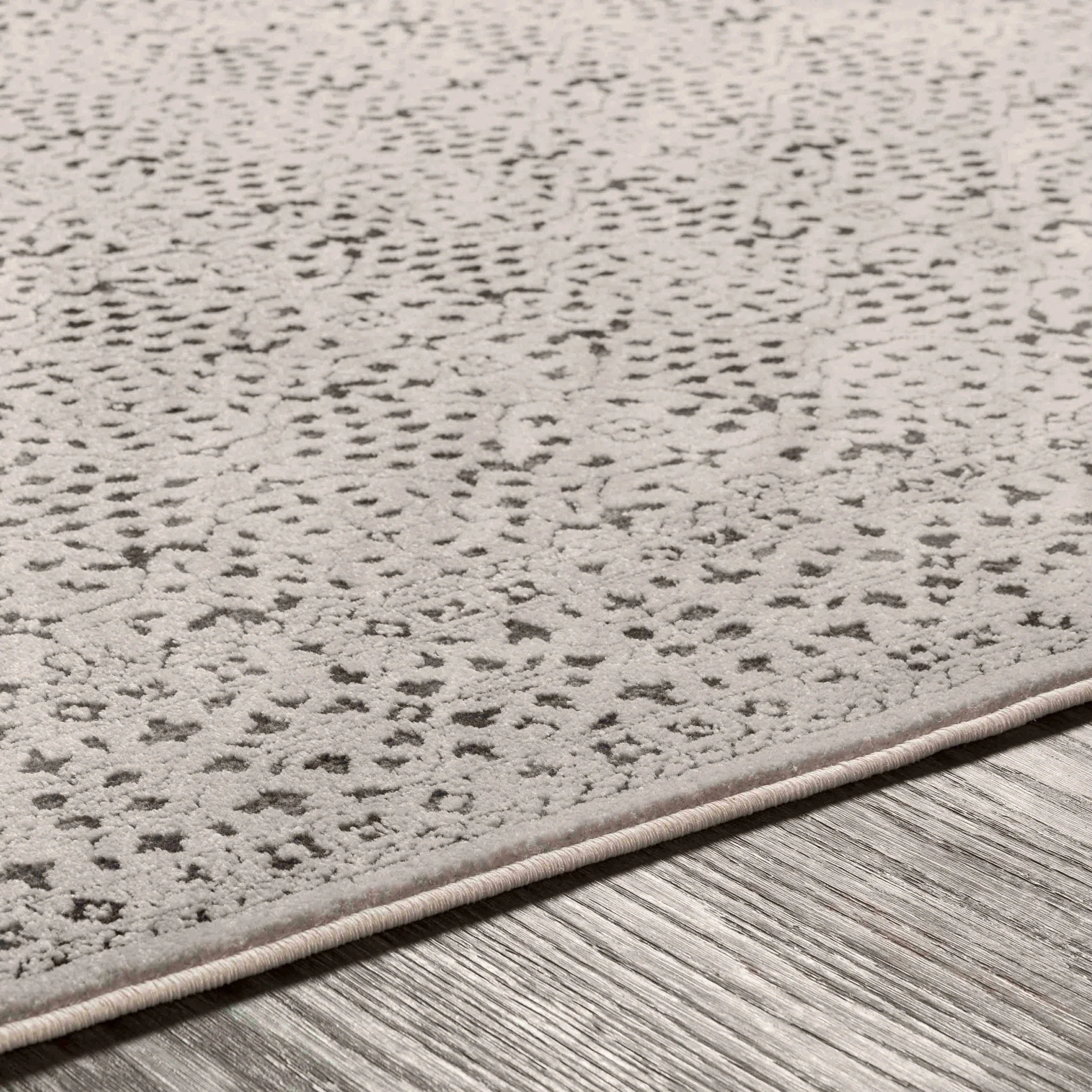 Antique Design Beige and Charcoal Traditional area rug - Image 9