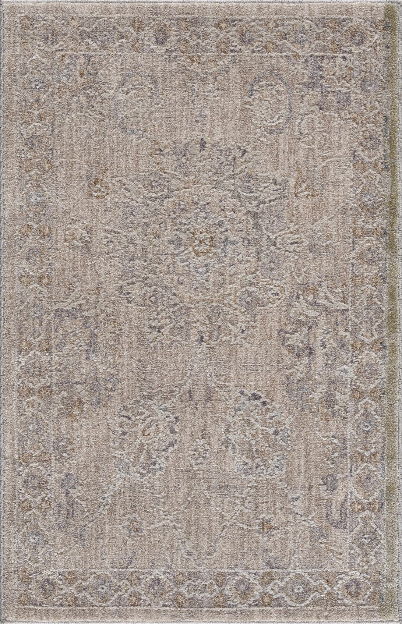 Antique Look Floral Beige and Charcoal Traditional Design Area Rug - Image 21