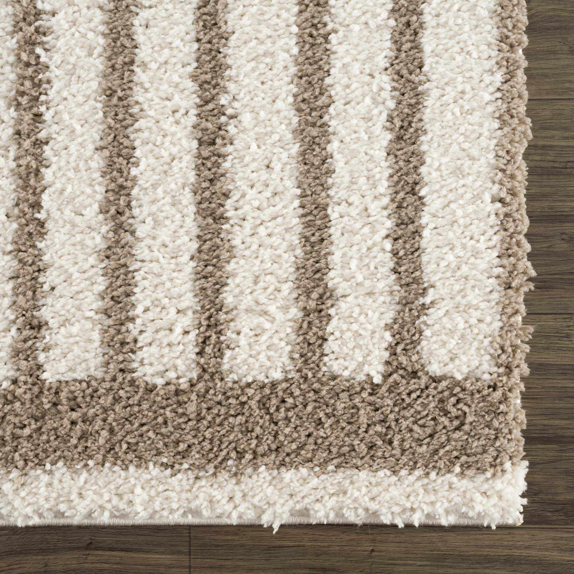 Beige And Brown Modern Style Area Rug - Image 8