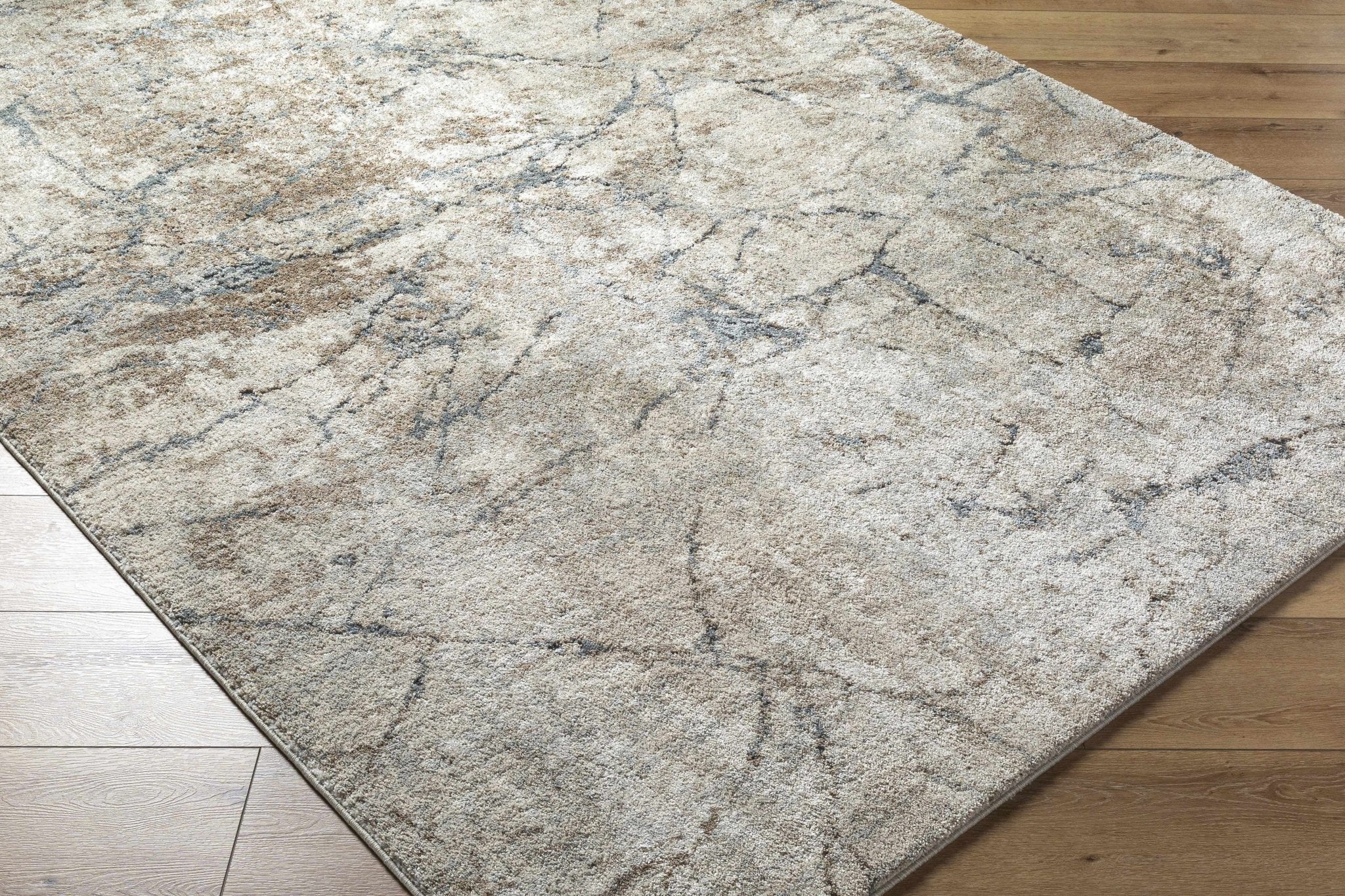 Beige And Gray Contemporary Abstract Woven Rug - Image 3