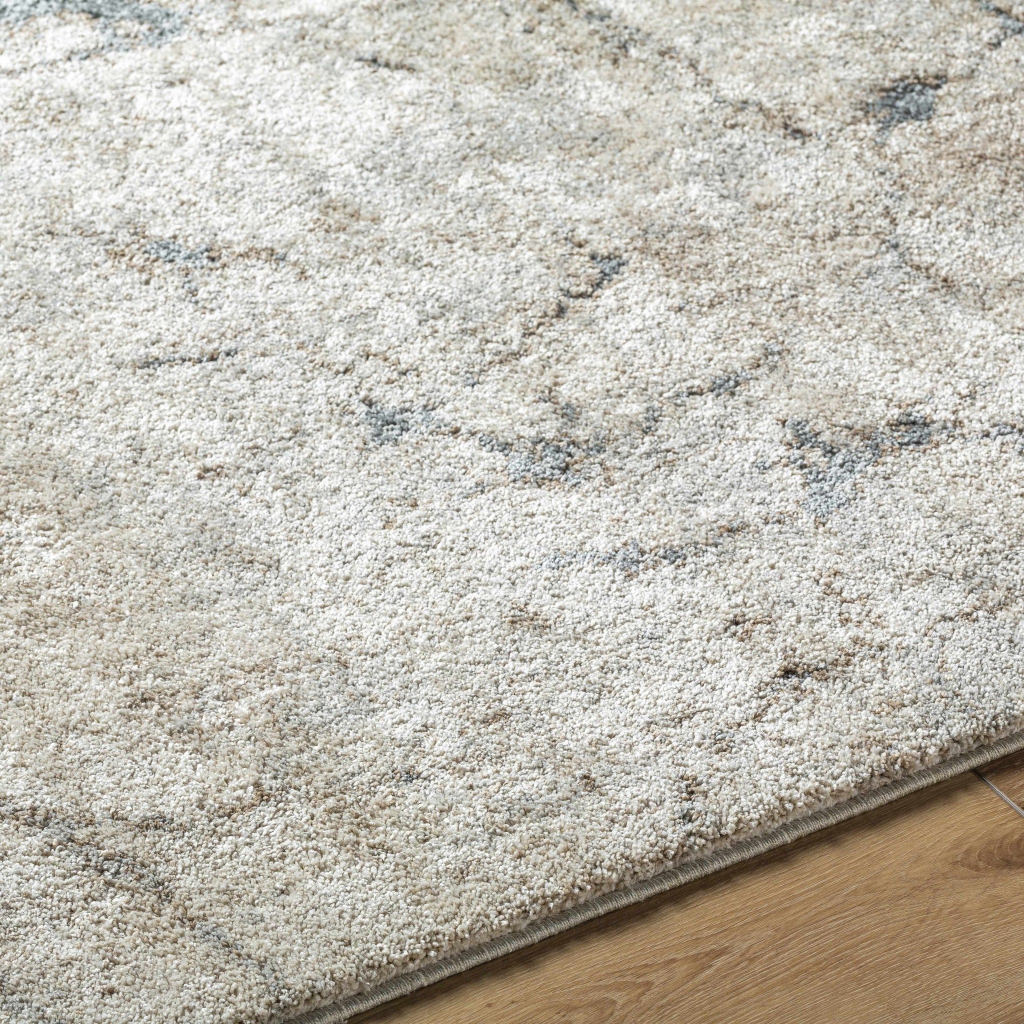 Beige And Gray Contemporary Abstract Woven Rug - Image 5