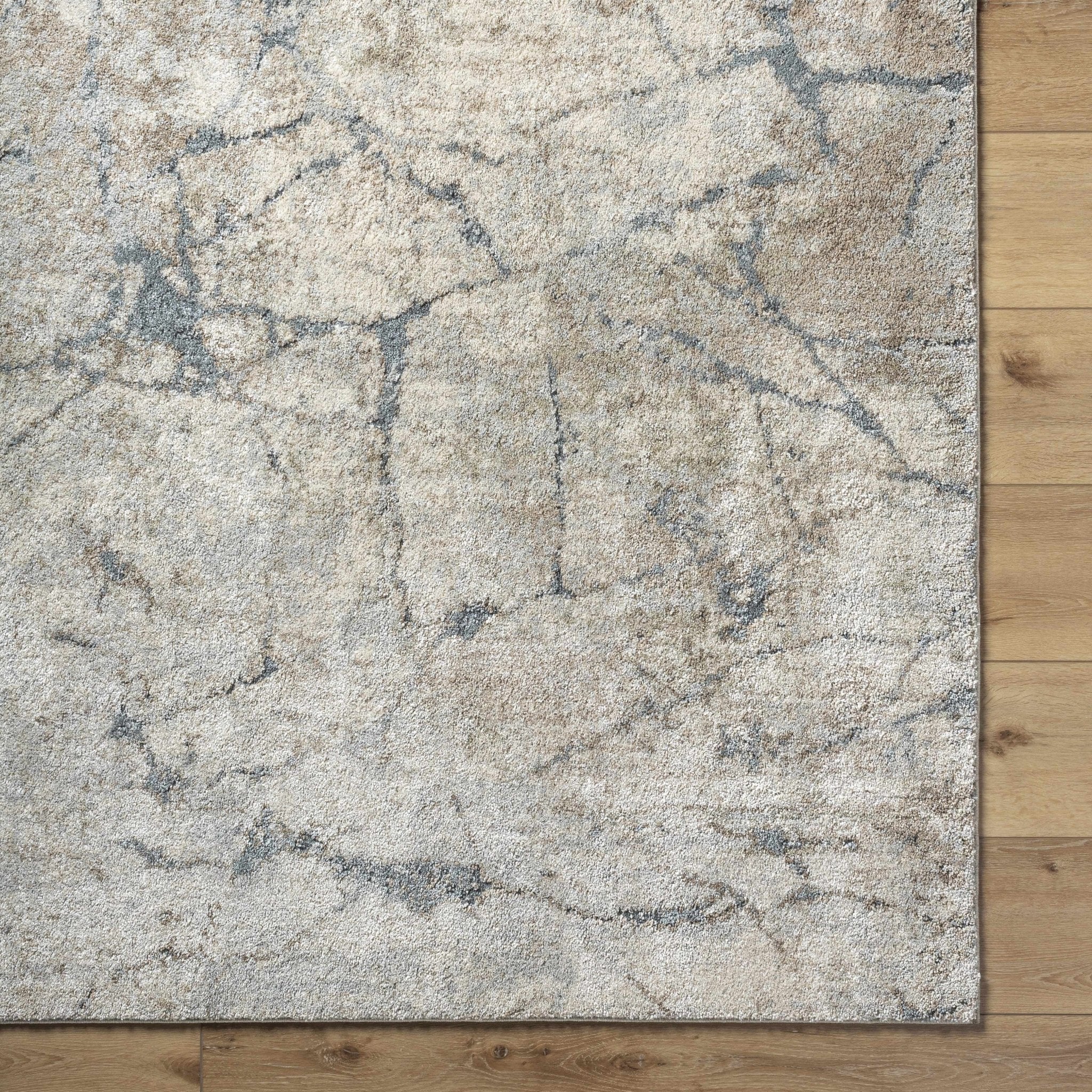 Beige And Gray Contemporary Abstract Woven Rug - Image 6