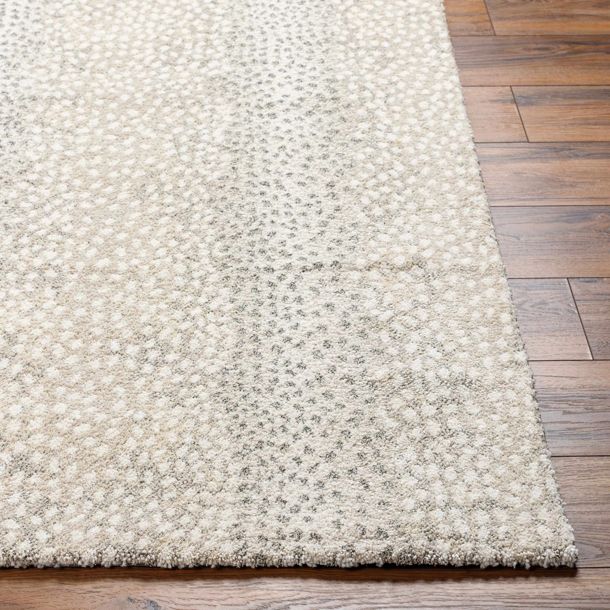 Beige And Gray Contemporary Style Machine Woven Rug - Image 3