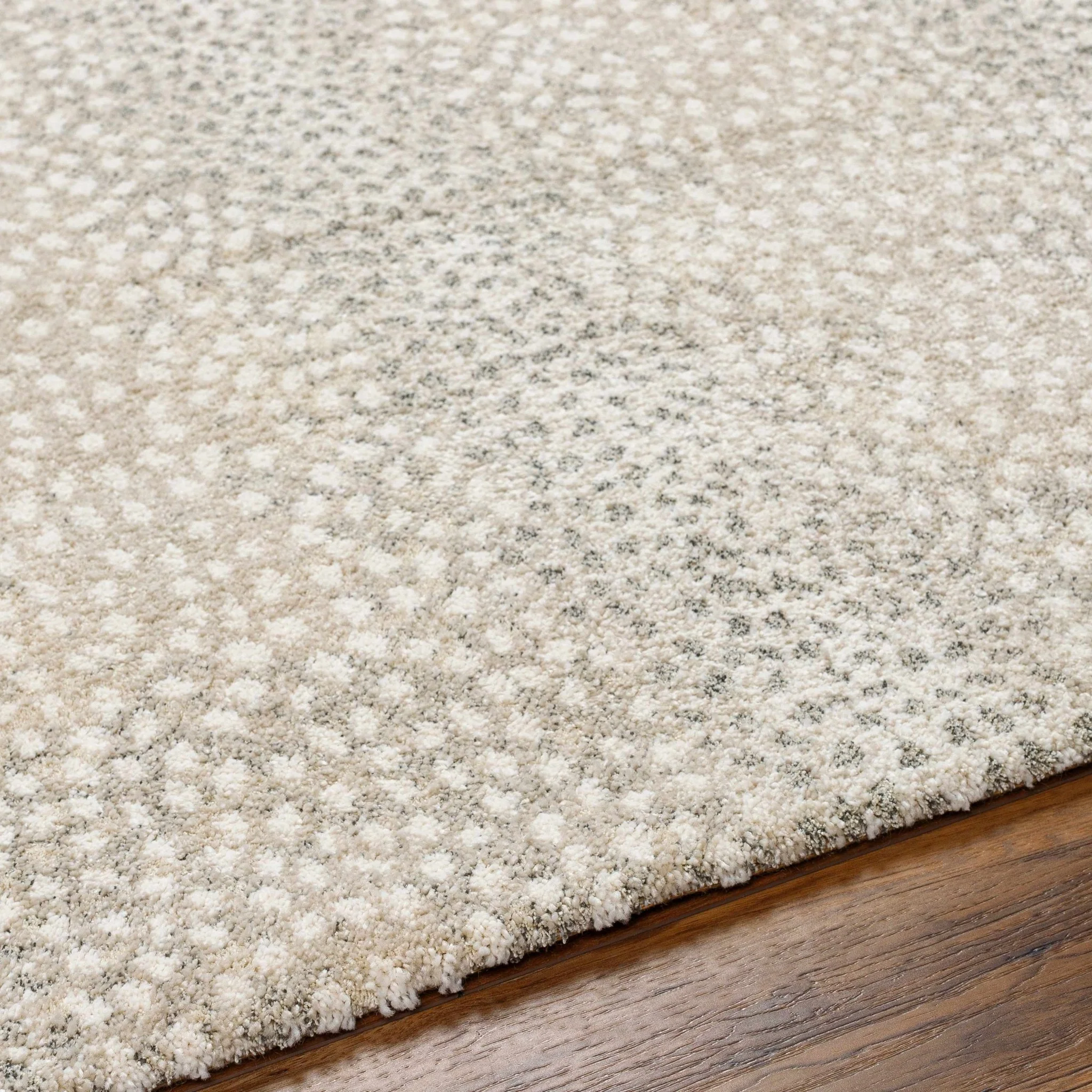 Beige And Gray Contemporary Style Machine Woven Rug - Image 5