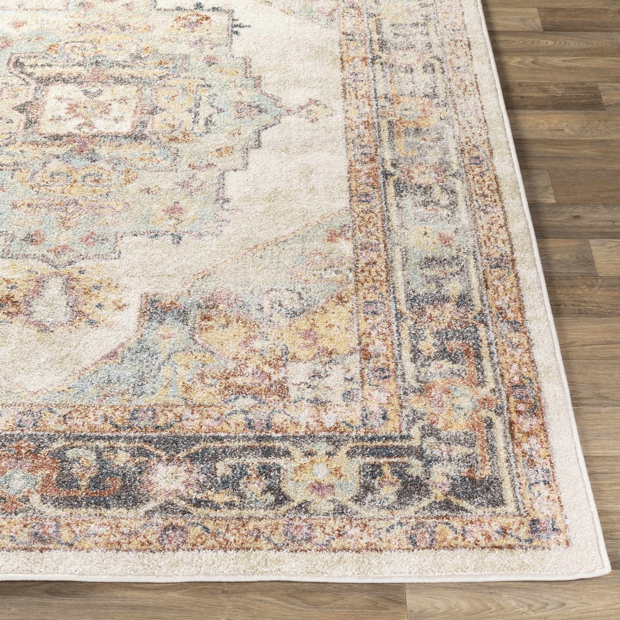 Colorful Blue, Ivory, Beige and Charcoal Traditional Heriz Multi Size rug - Image 7