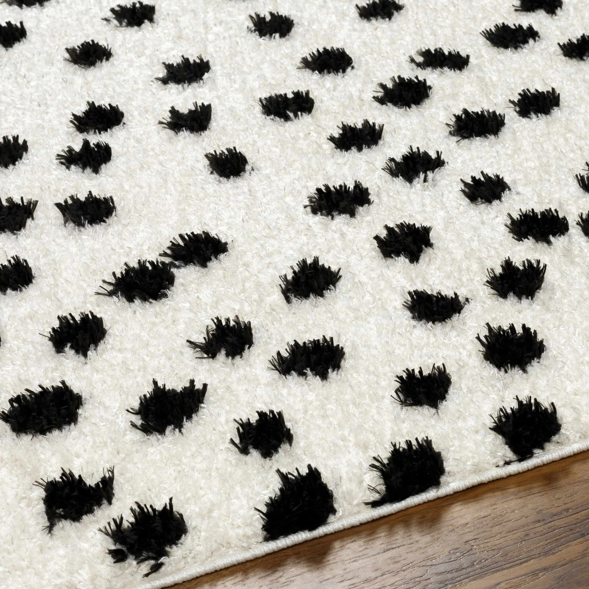 Chaia Dotted Contemporary Ivory and Black Plush Pile Area Rug - Image 13