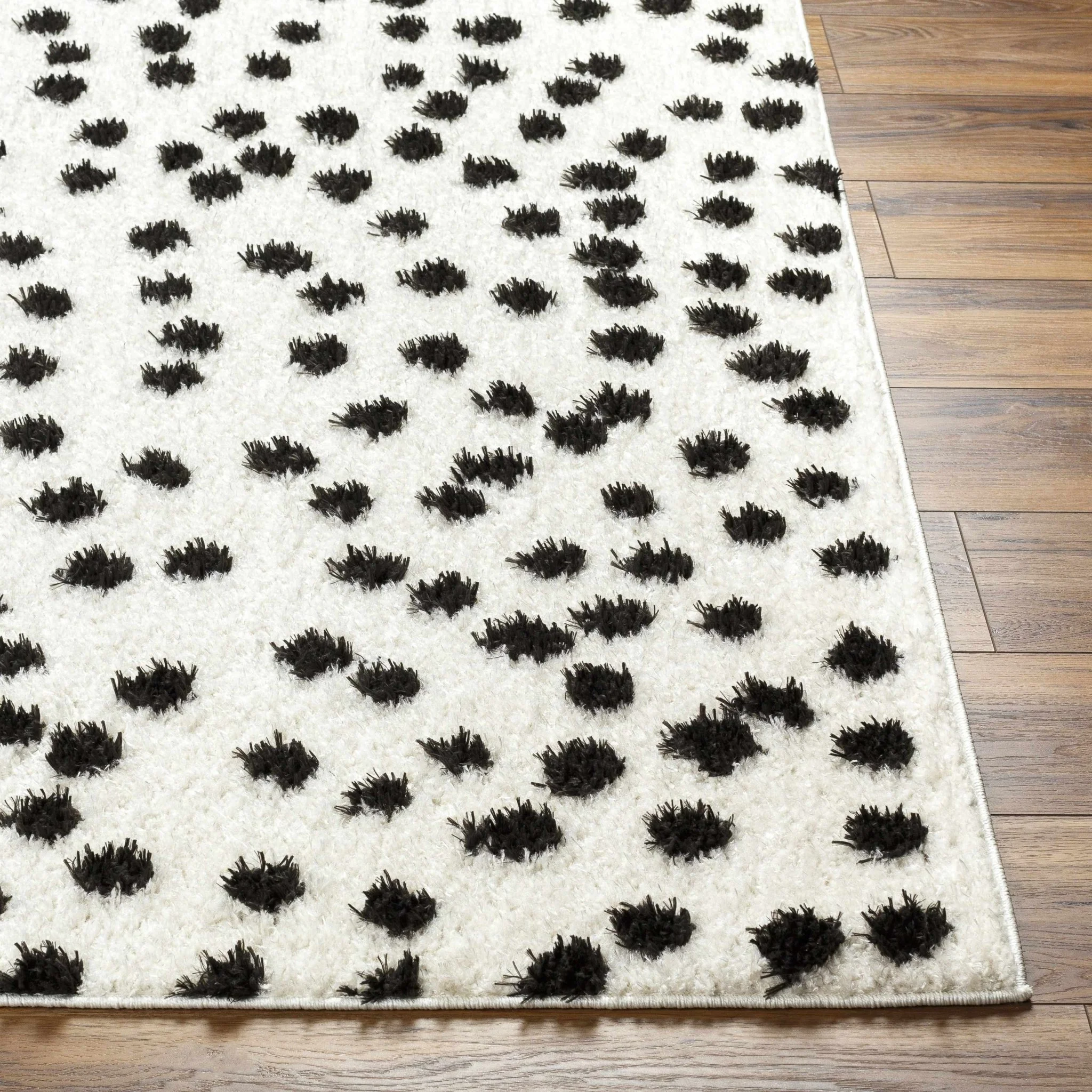 Chaia Dotted Contemporary Ivory and Black Plush Pile Area Rug - Image 7