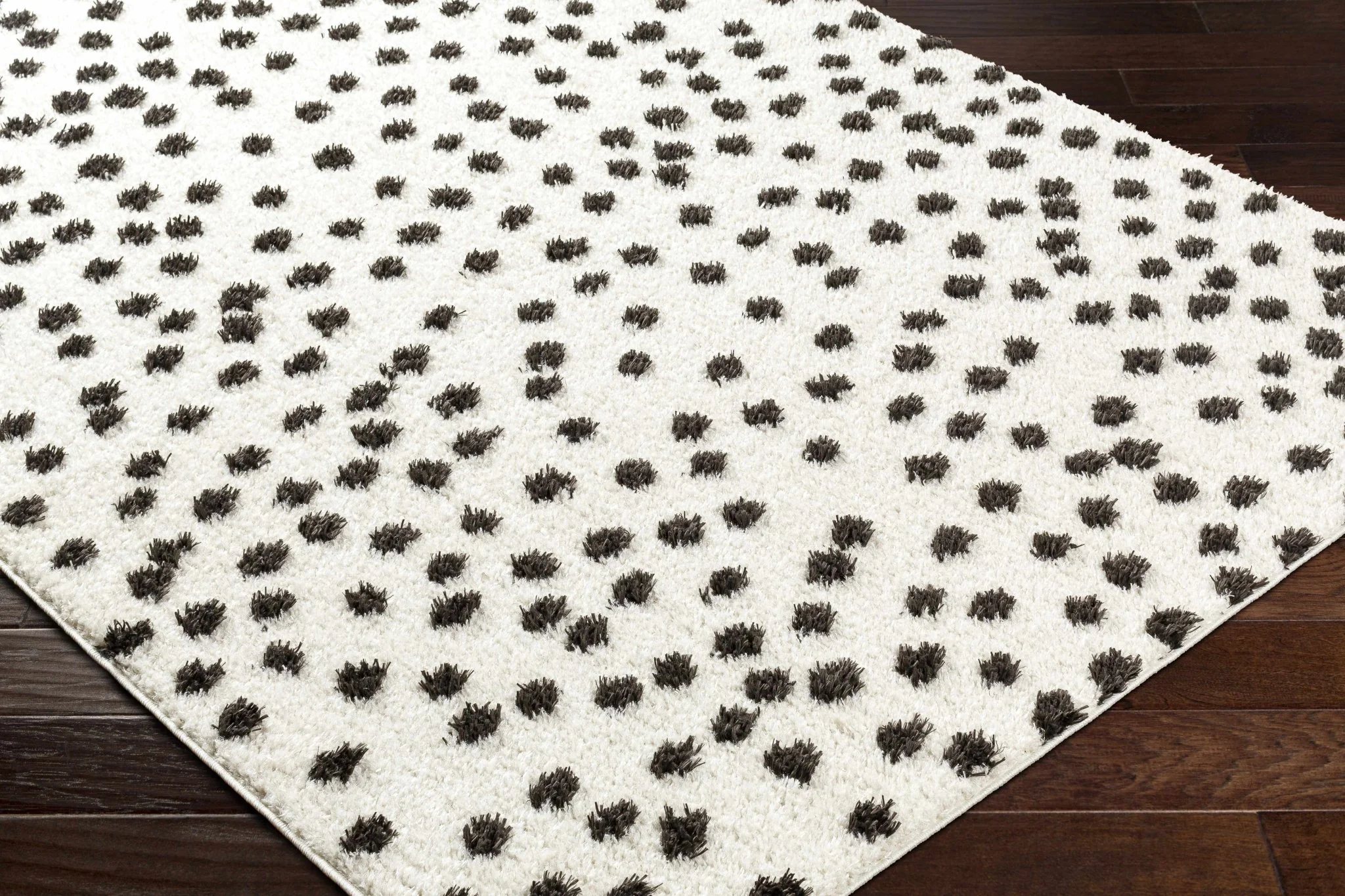 Chaia Dotted Contemporary Ivory and Black Plush Pile Area Rug - Image 9
