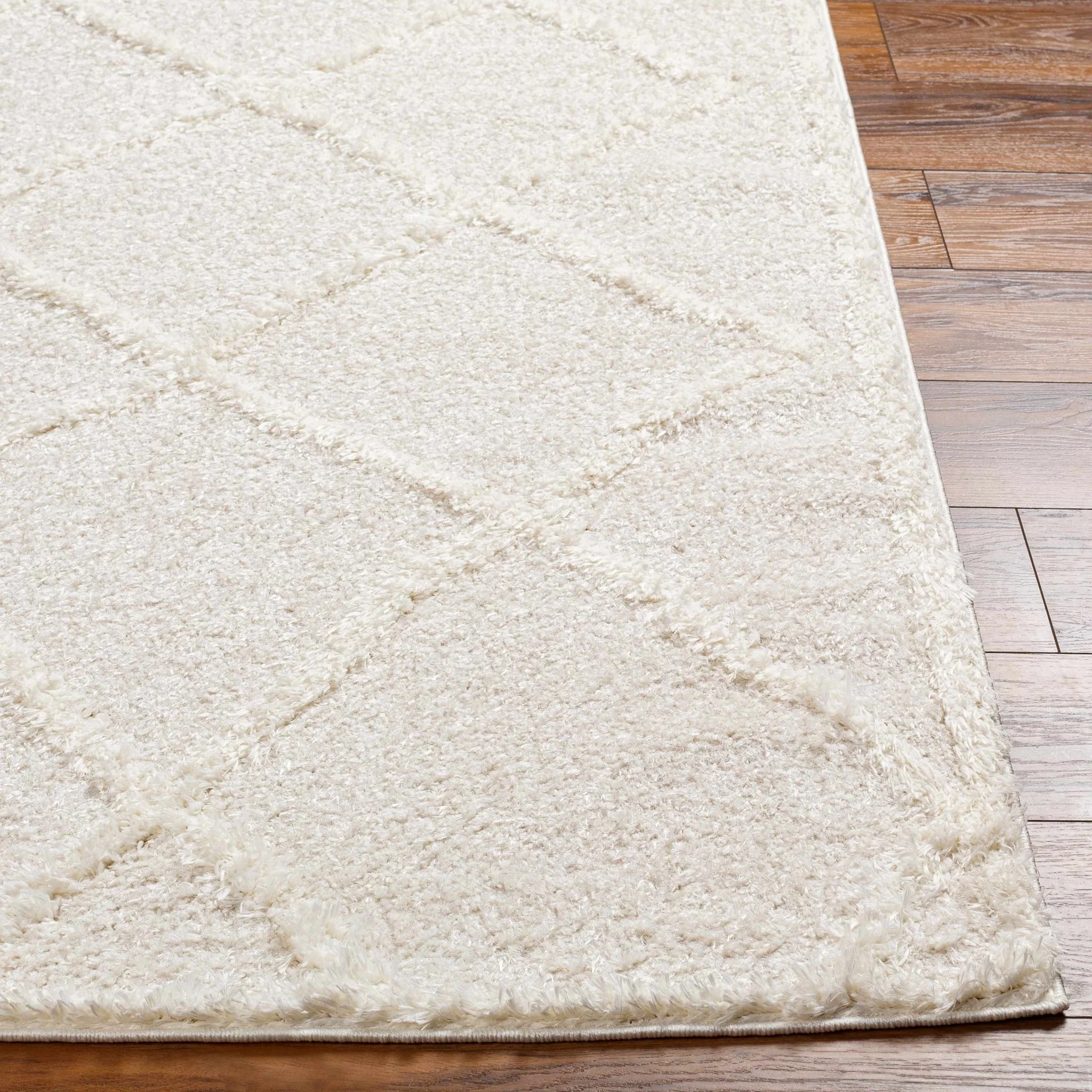 Modern Contemporary Beige Machine Woven Plush Pile Area Rug - Image 3