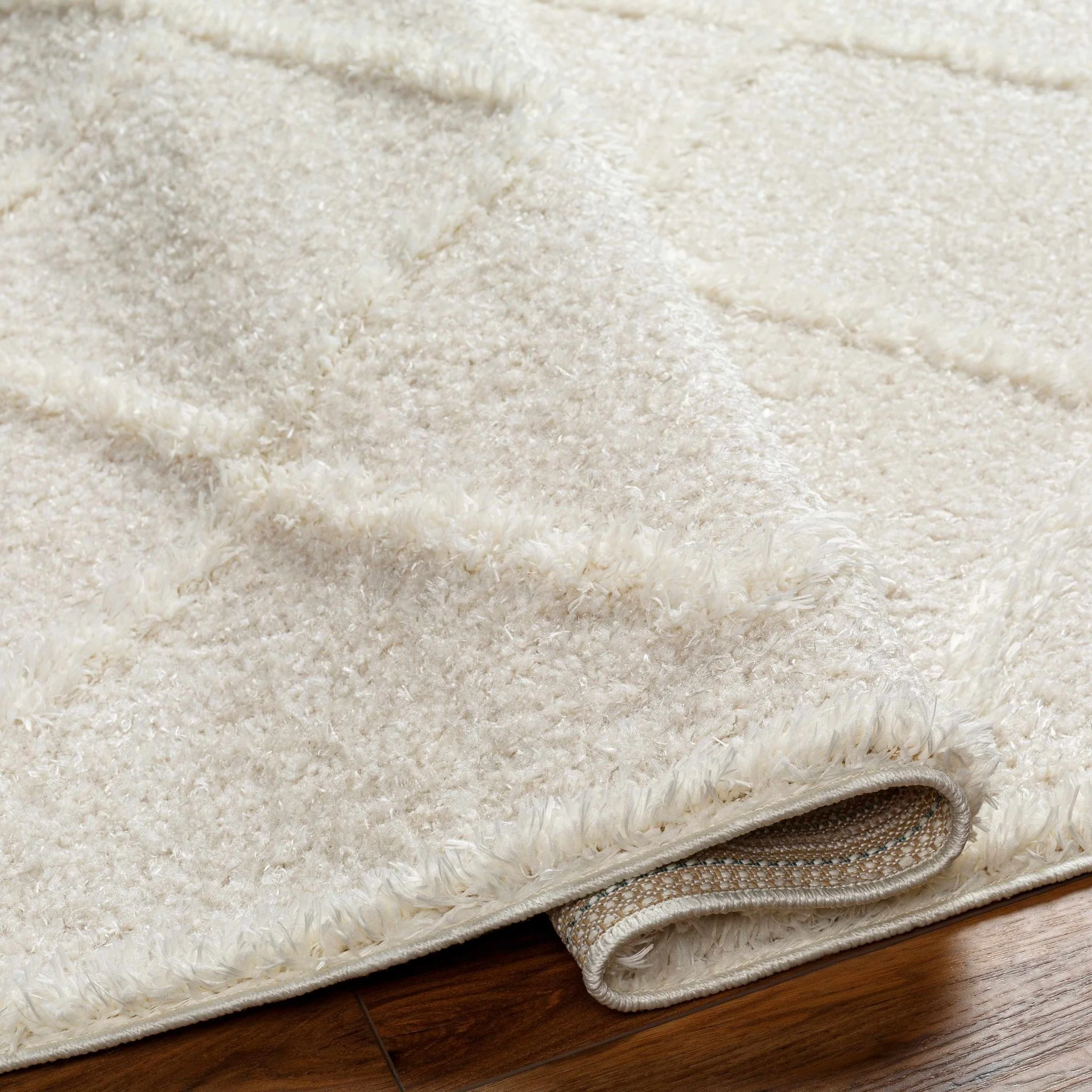 Modern Contemporary Beige Machine Woven Plush Pile Area Rug - Image 4
