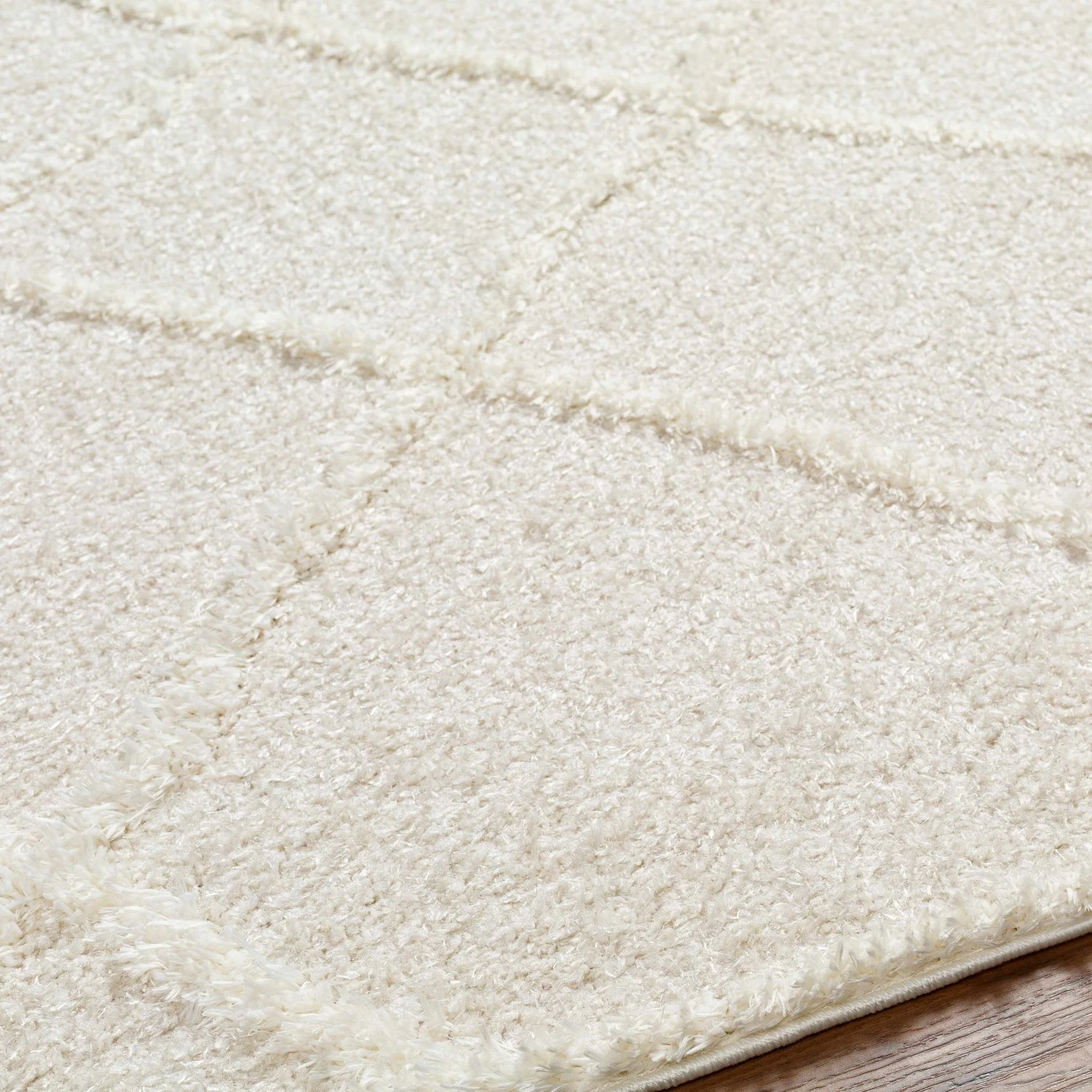 Modern Contemporary Beige Machine Woven Plush Pile Area Rug - Image 5