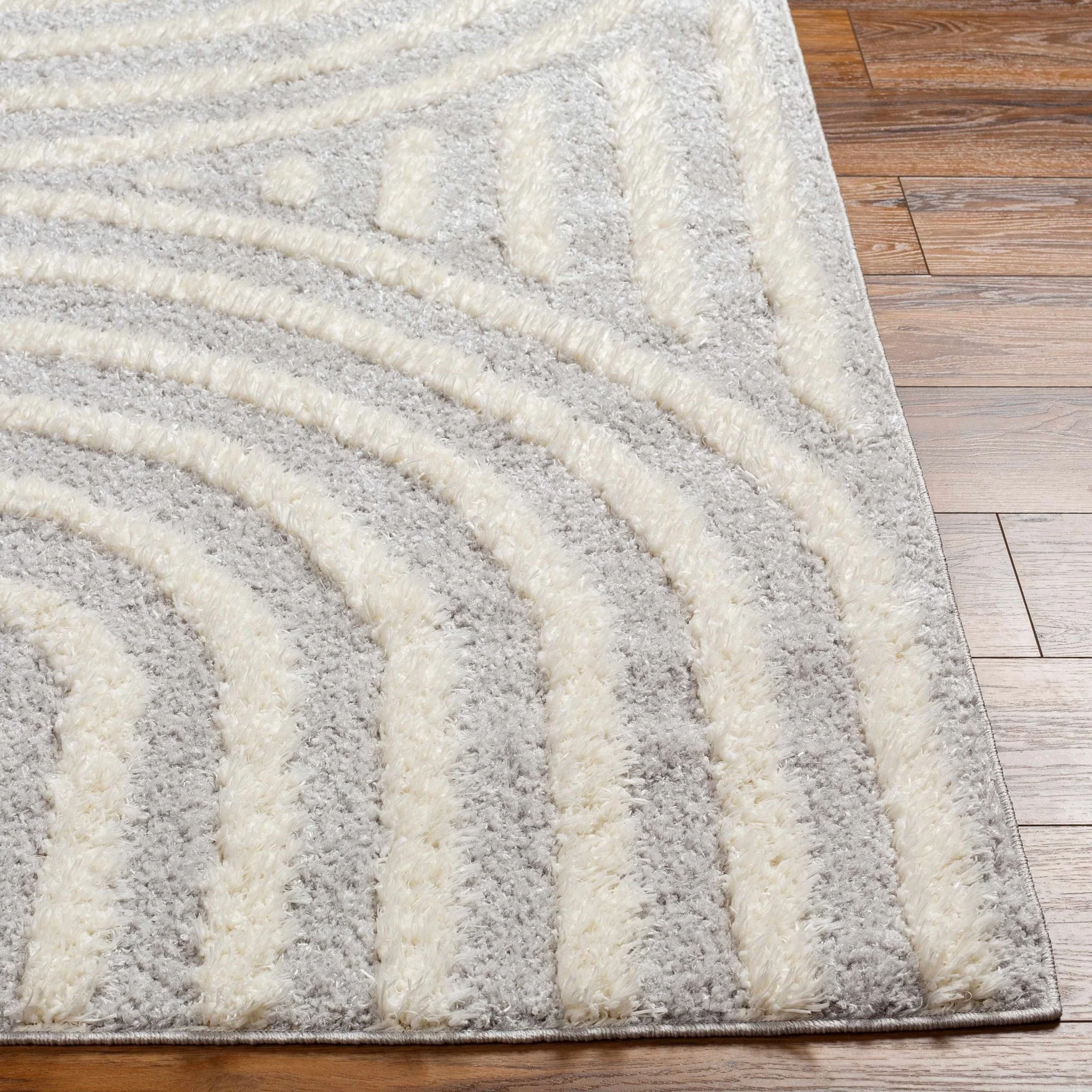 Modern Contemporary Gray and Beige Plush Pile Machine Woven Area Rug - Image 2
