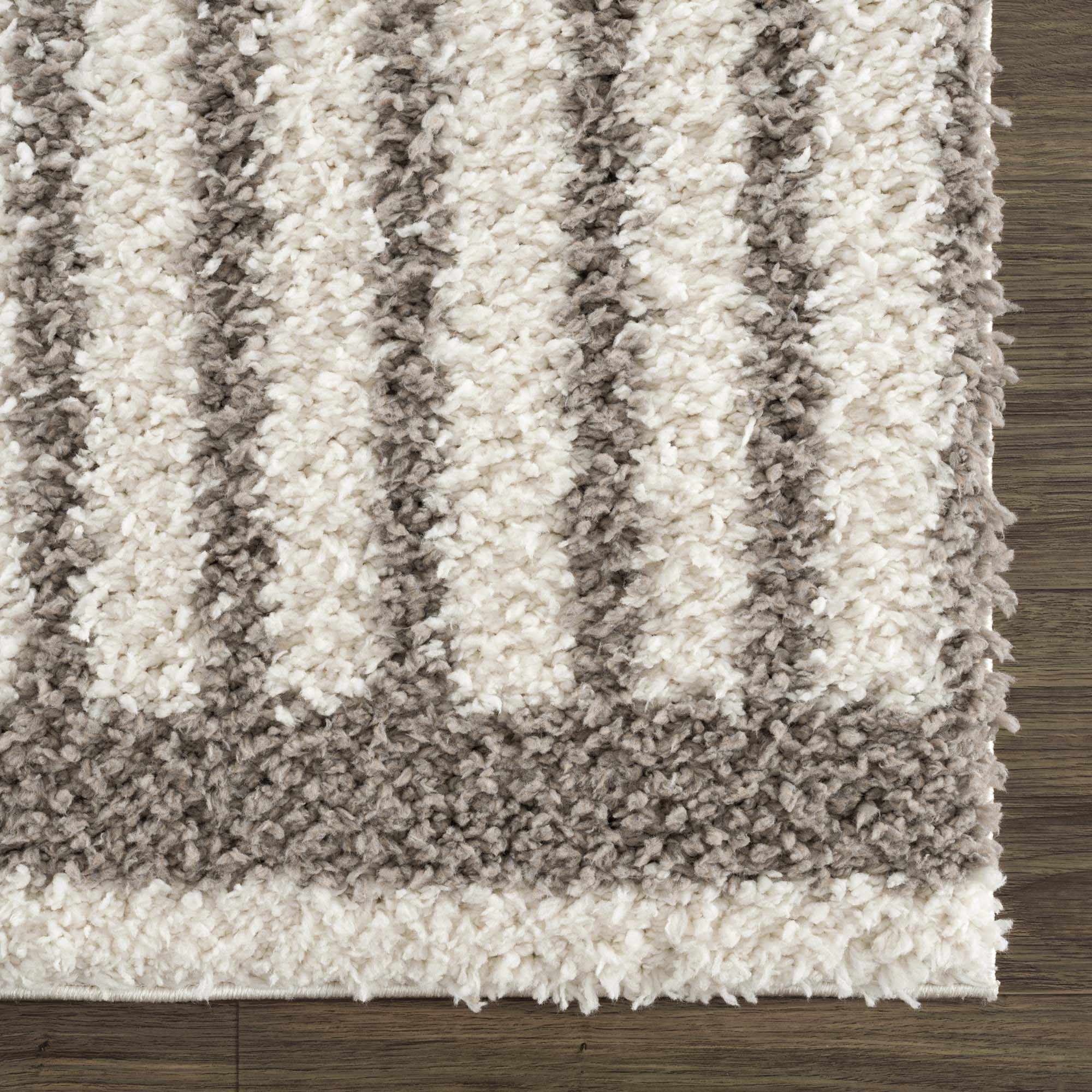 Contemporary Style Beige And  Taupe Area Rug - Image 8