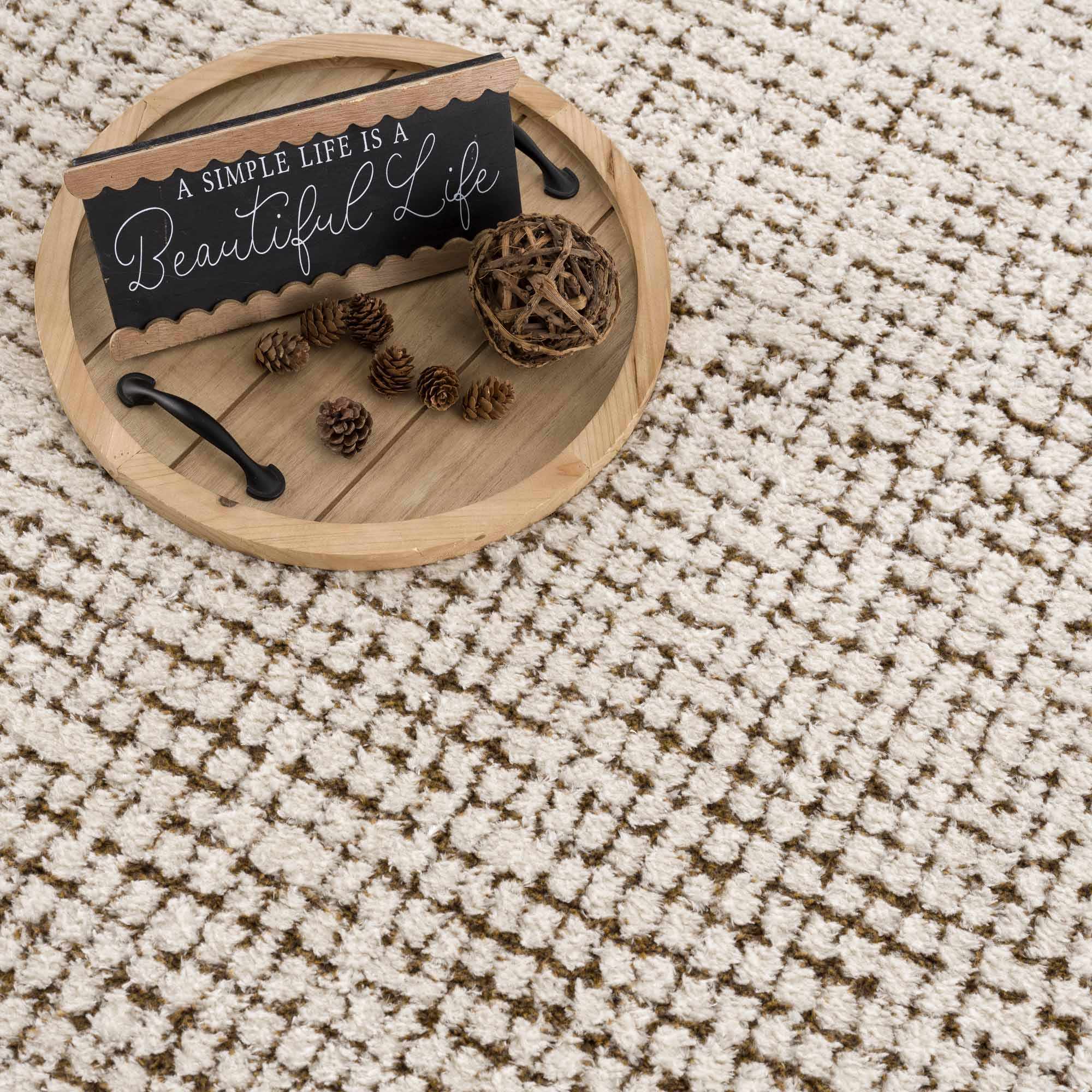 Contemporary Style Beige & Brown Area Rug - Image 13