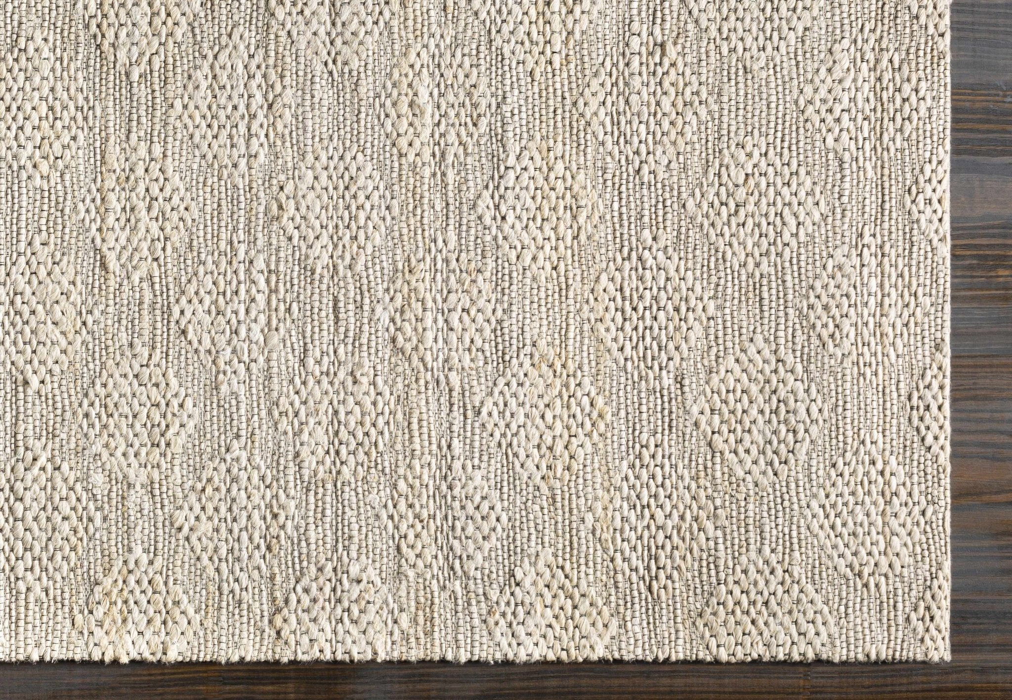 Contemporary Style Beige Hand-Woven Jute Rug - Image 3