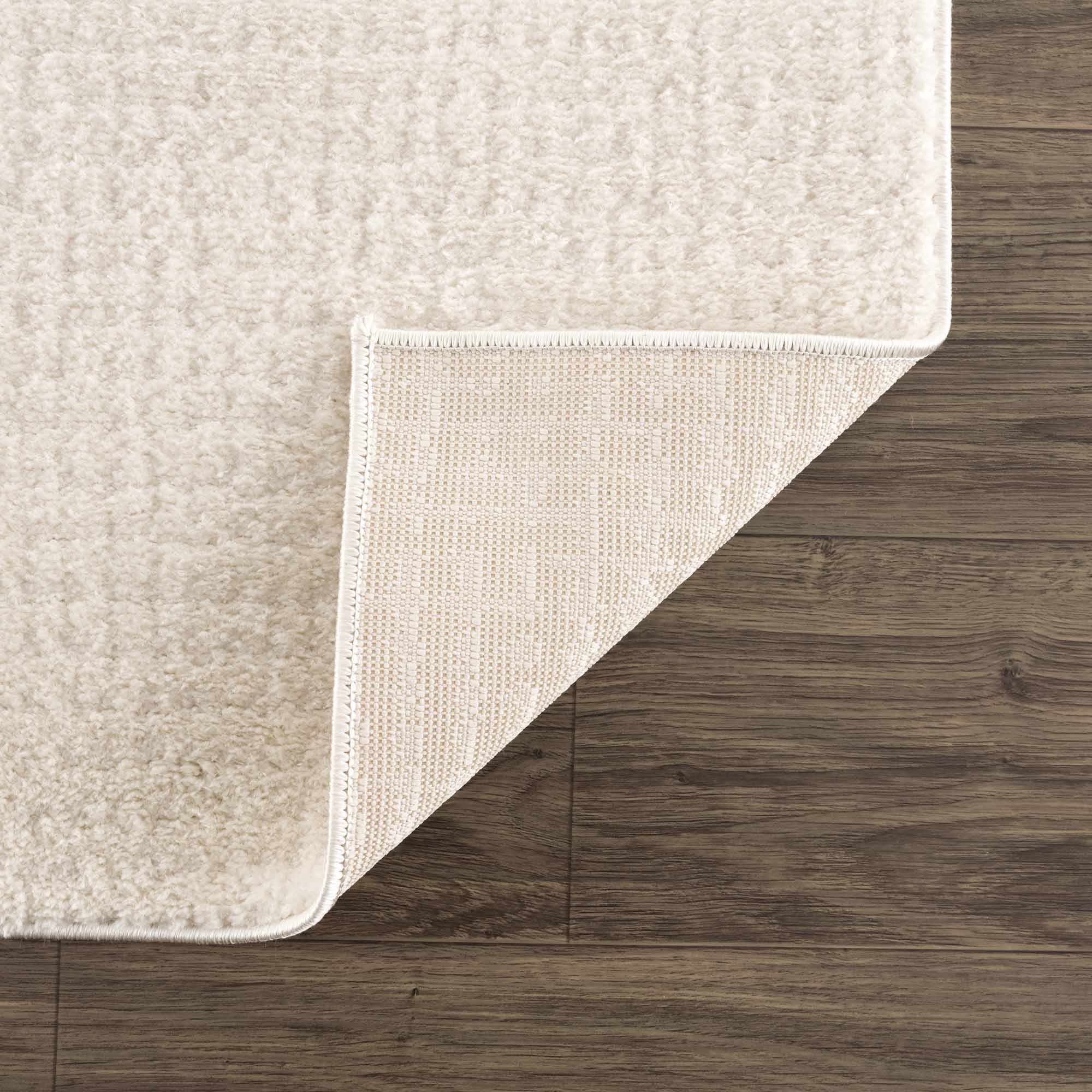 Contemporary Style Ivory Area Rug - Image 5