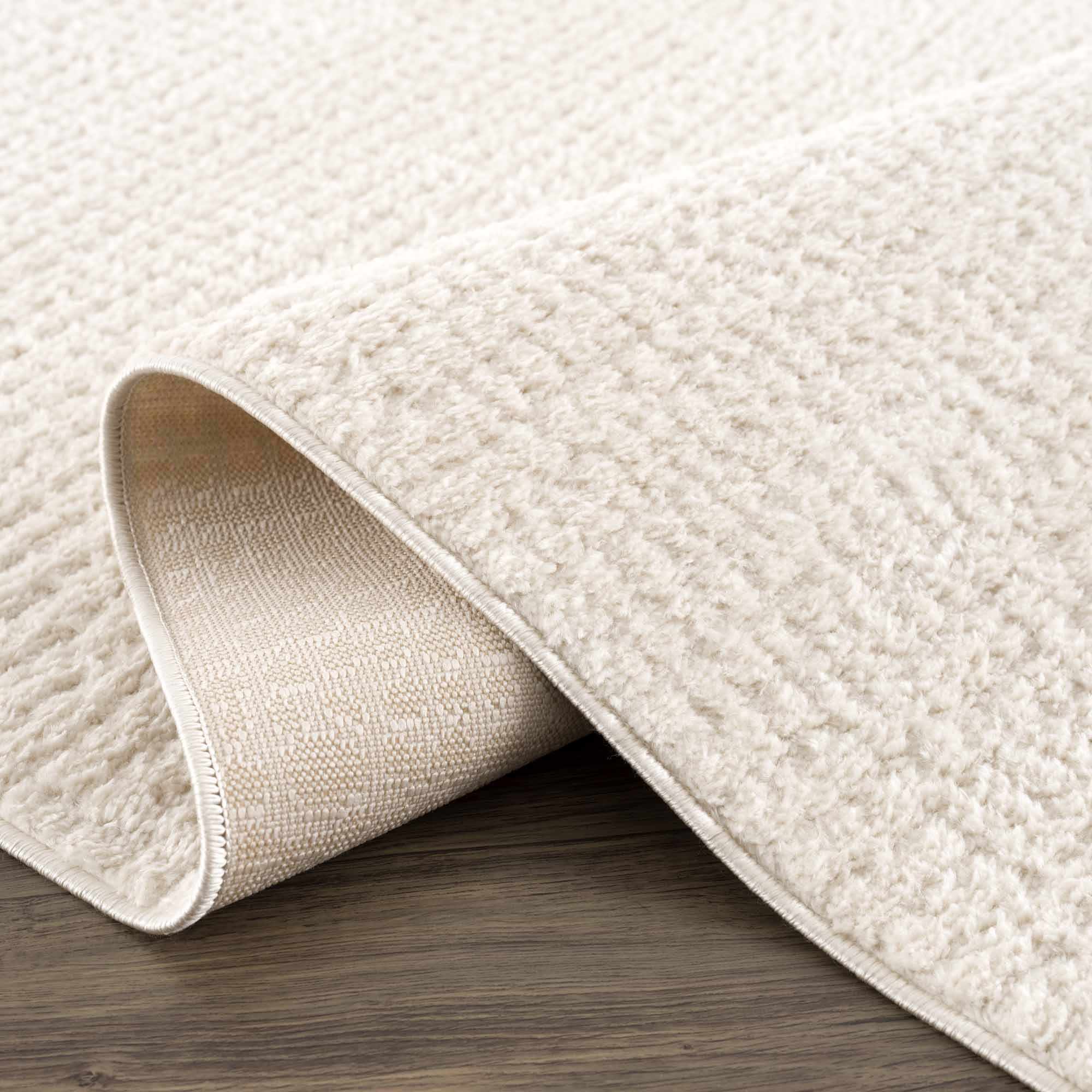 Contemporary Style Ivory Area Rug - Image 7