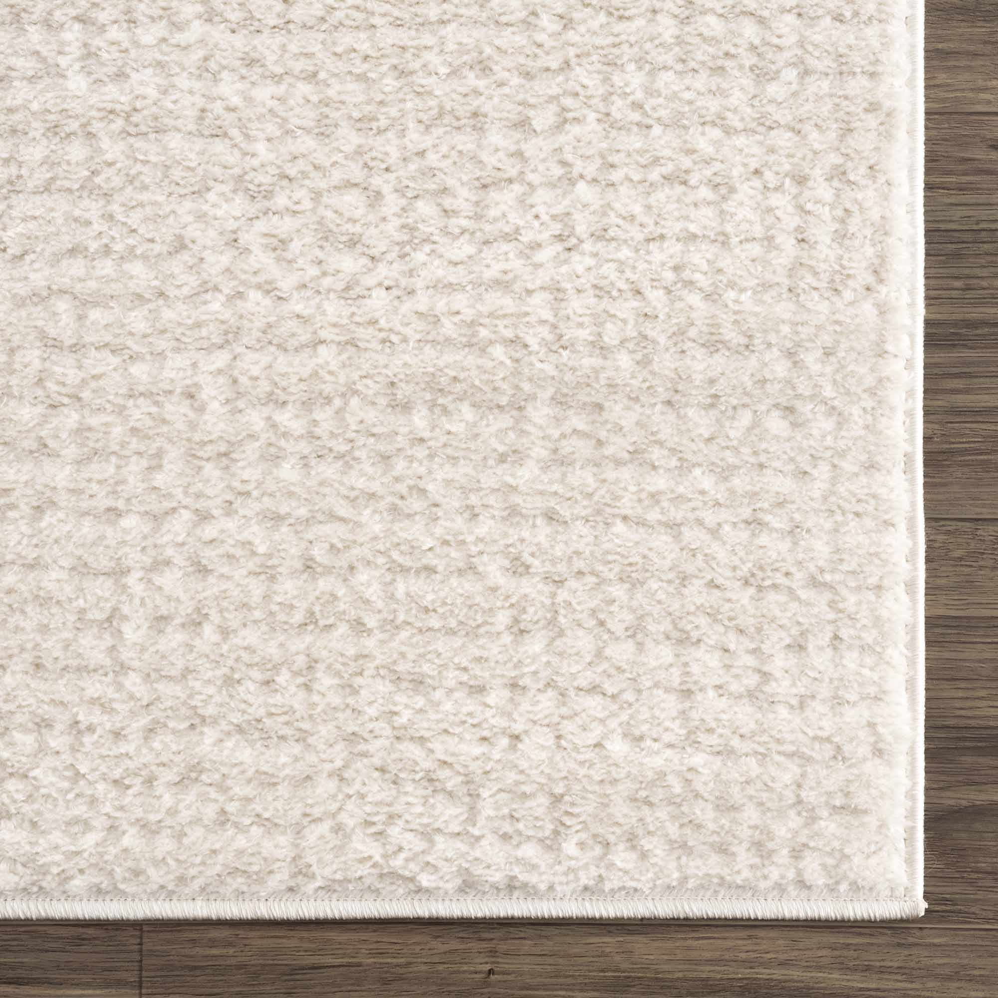 Contemporary Style Ivory Area Rug - Image 8