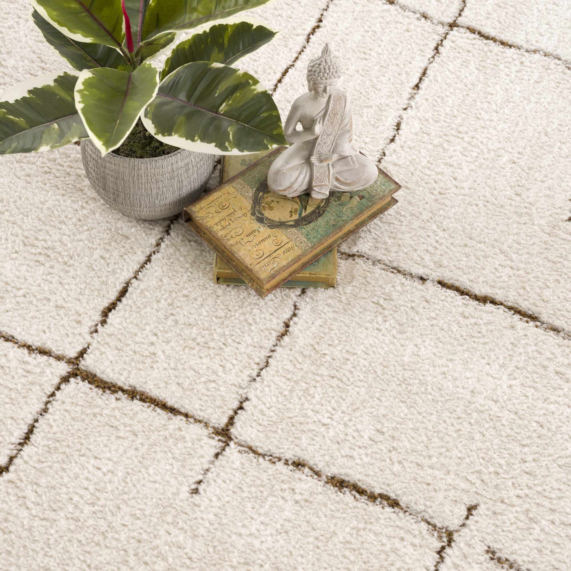 Contemporary Style Ivory & Brown Area Rug - Image 14