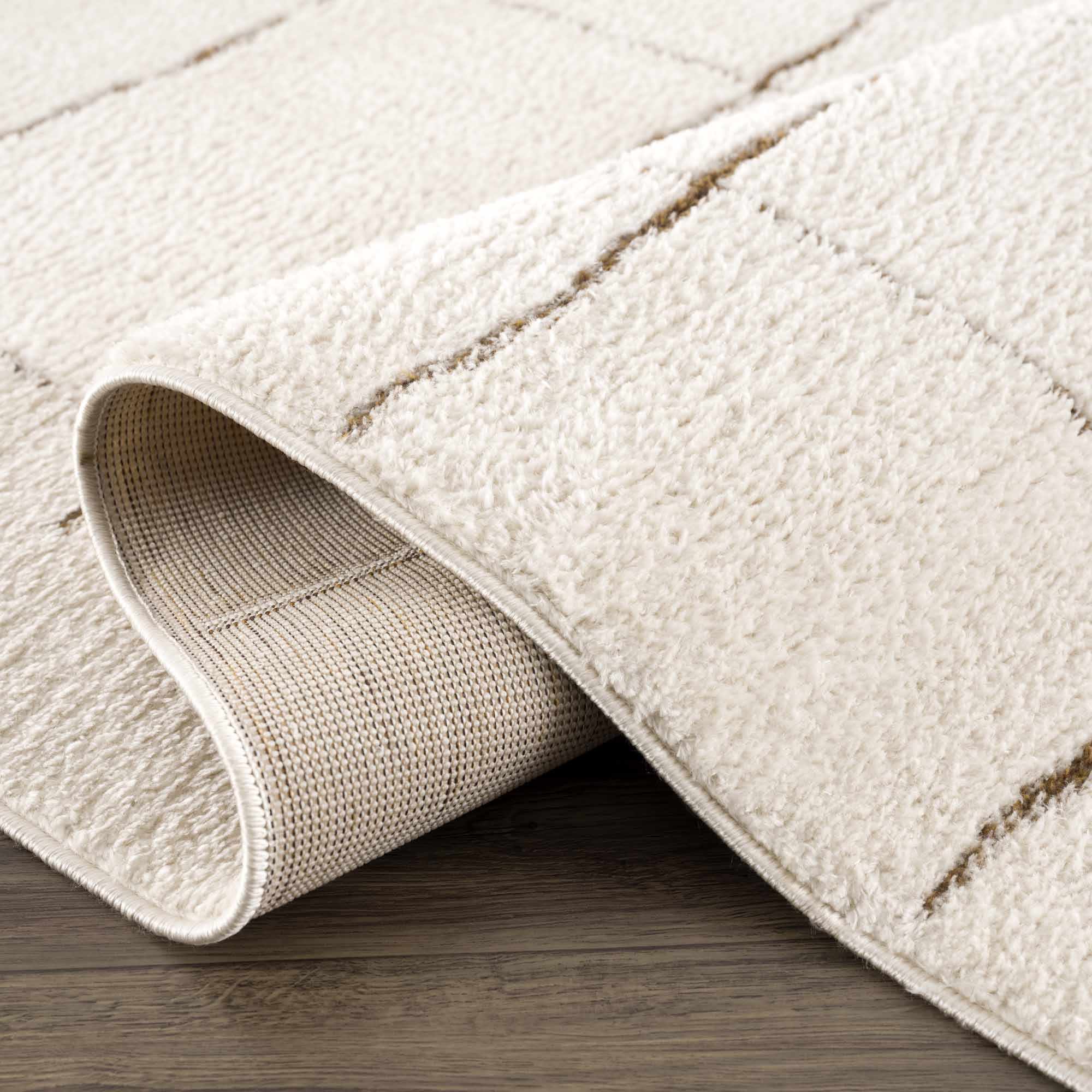 Contemporary Style Ivory & Brown Area Rug - Image 17