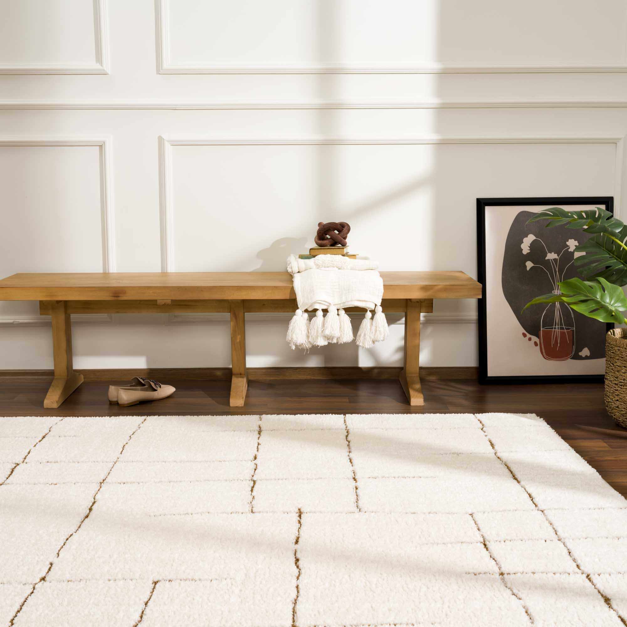 Contemporary Style Ivory & Brown Area Rug - Image 4