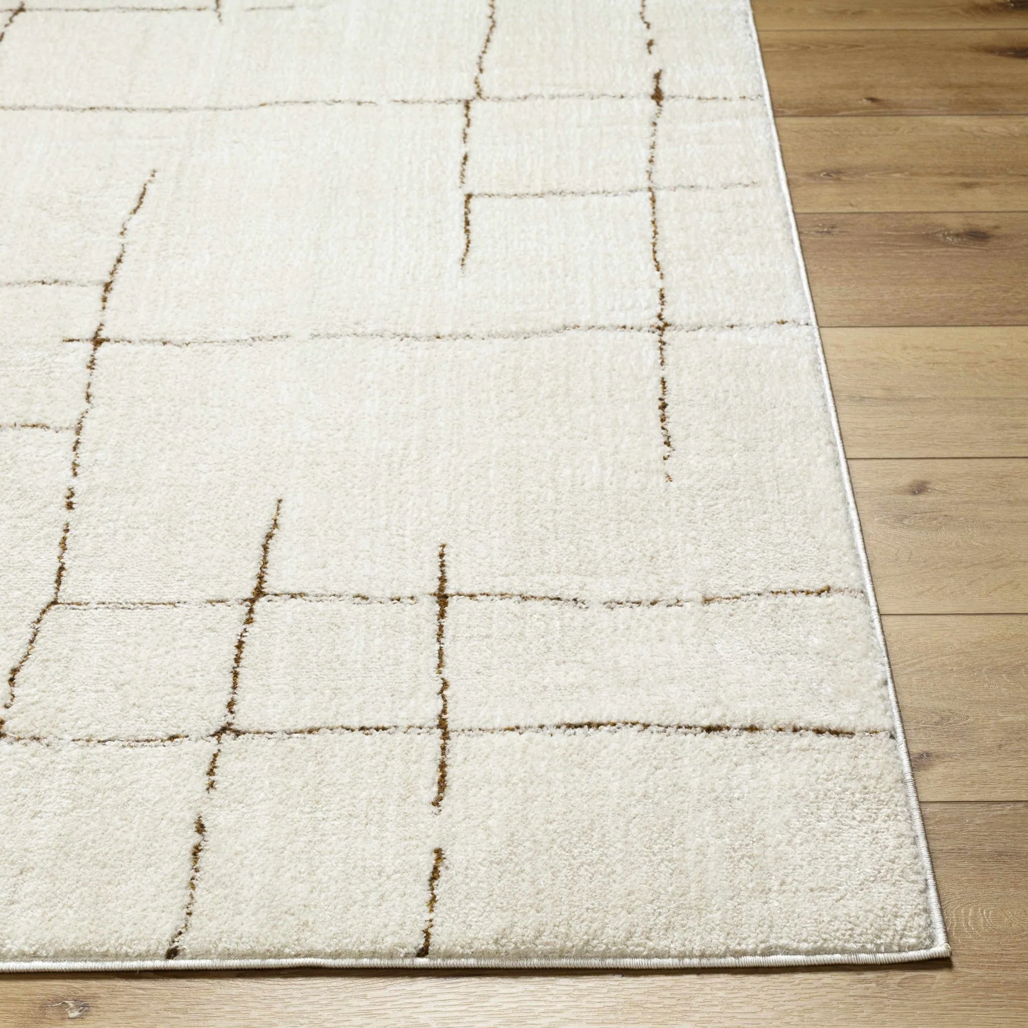Contemporary Style Ivory & Brown Area Rug - Image 5