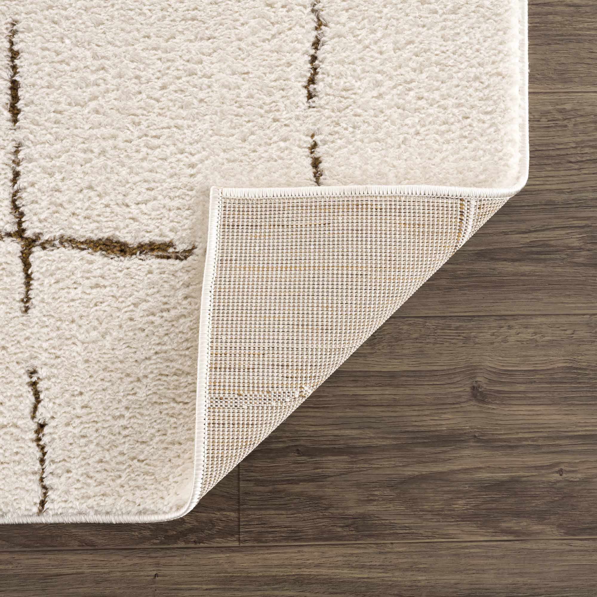 Contemporary Style Ivory & Brown Area Rug - Image 6