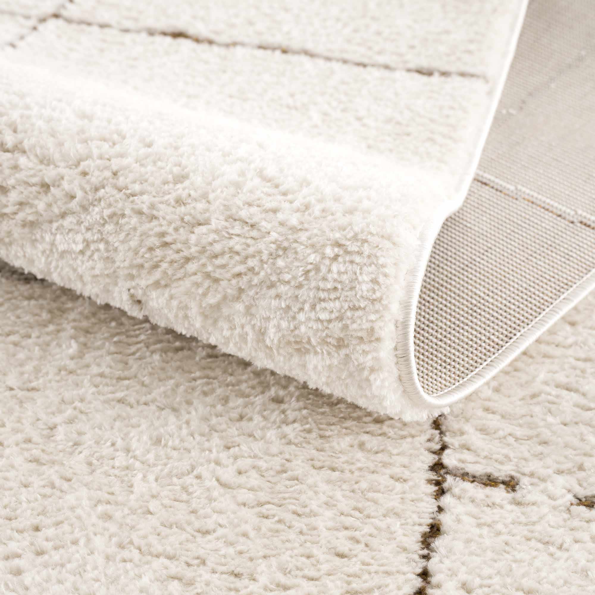 Contemporary Style Ivory & Brown Area Rug - Image 7