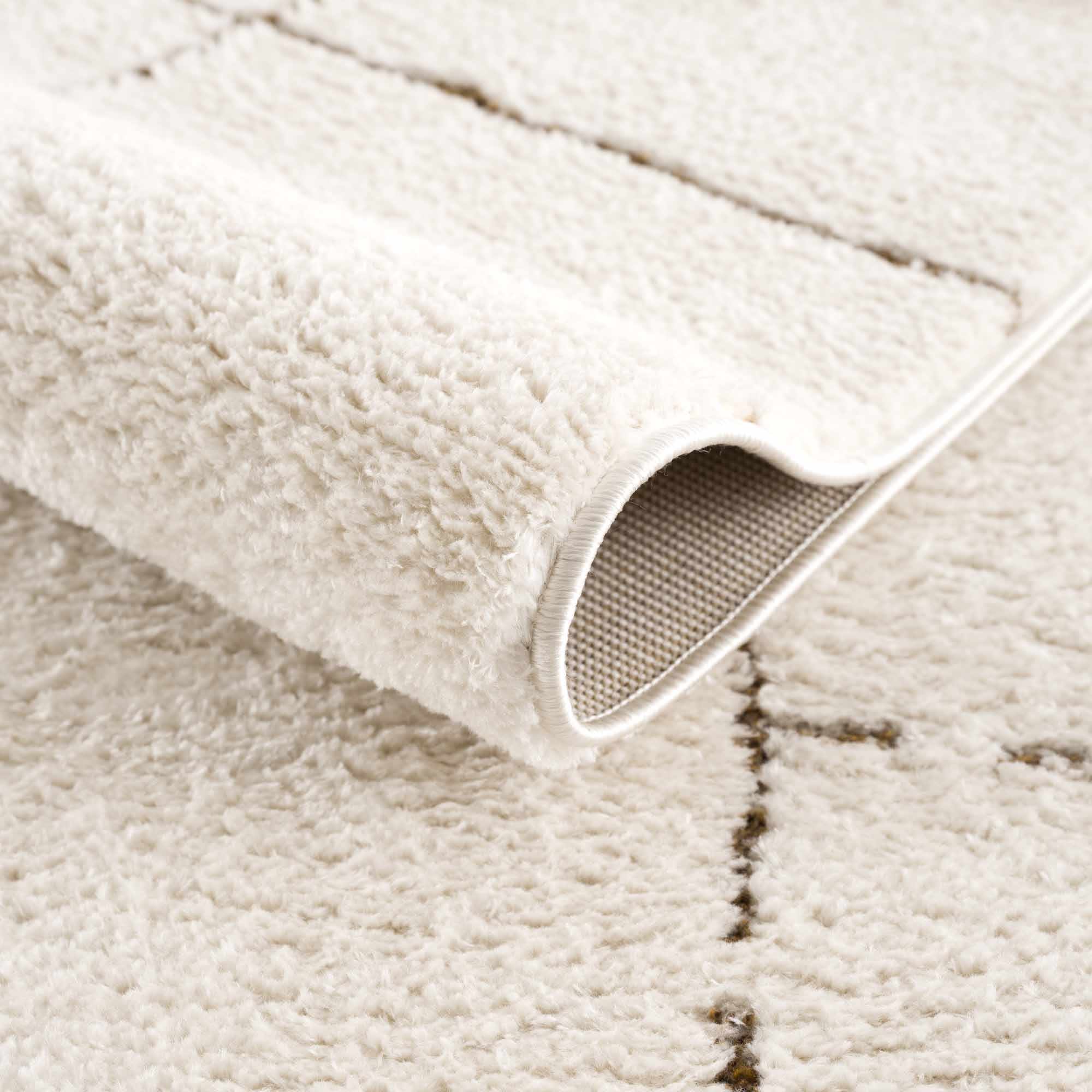 Contemporary Style Ivory & Brown Area Rug - Image 8
