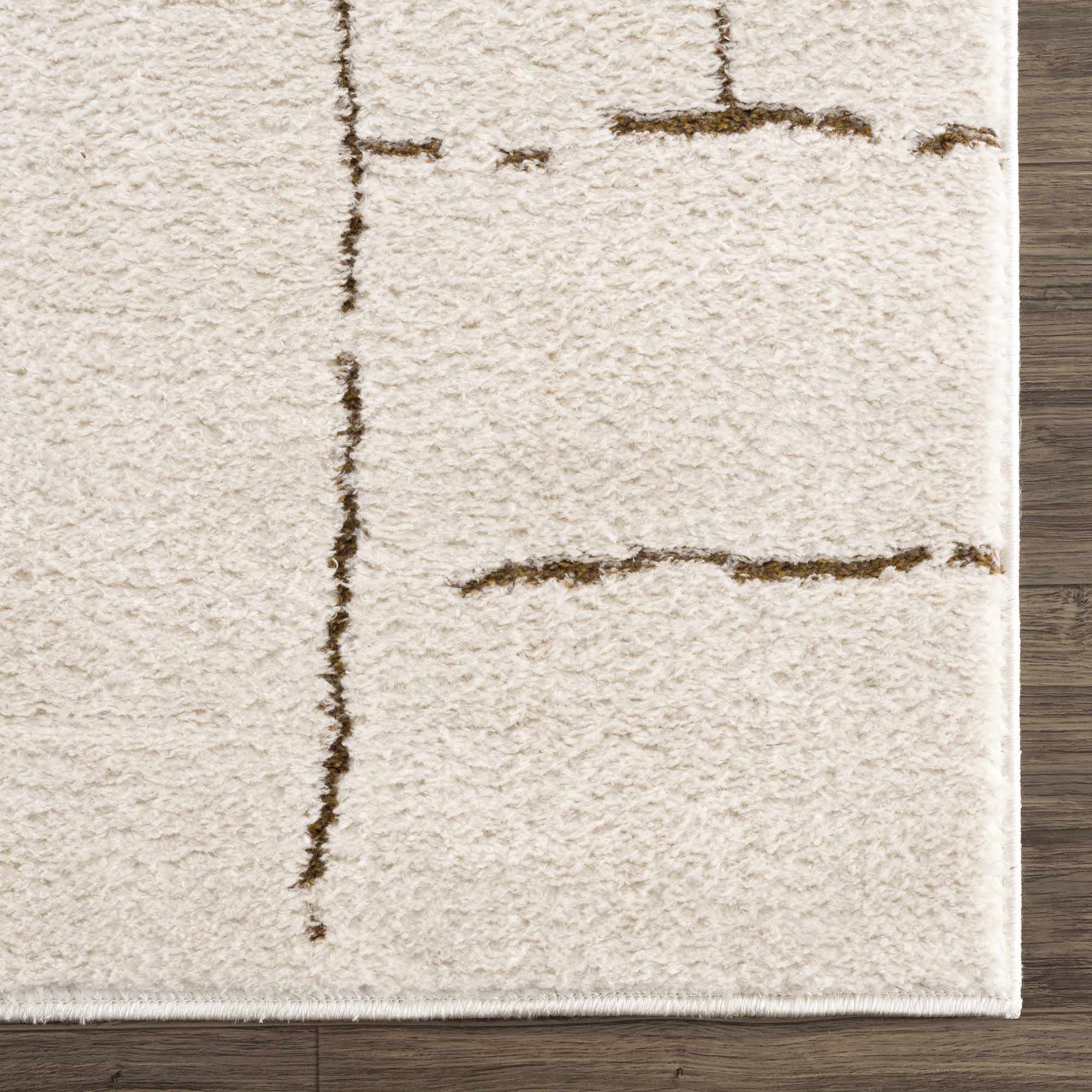 Contemporary Style Ivory & Brown Area Rug - Image 9
