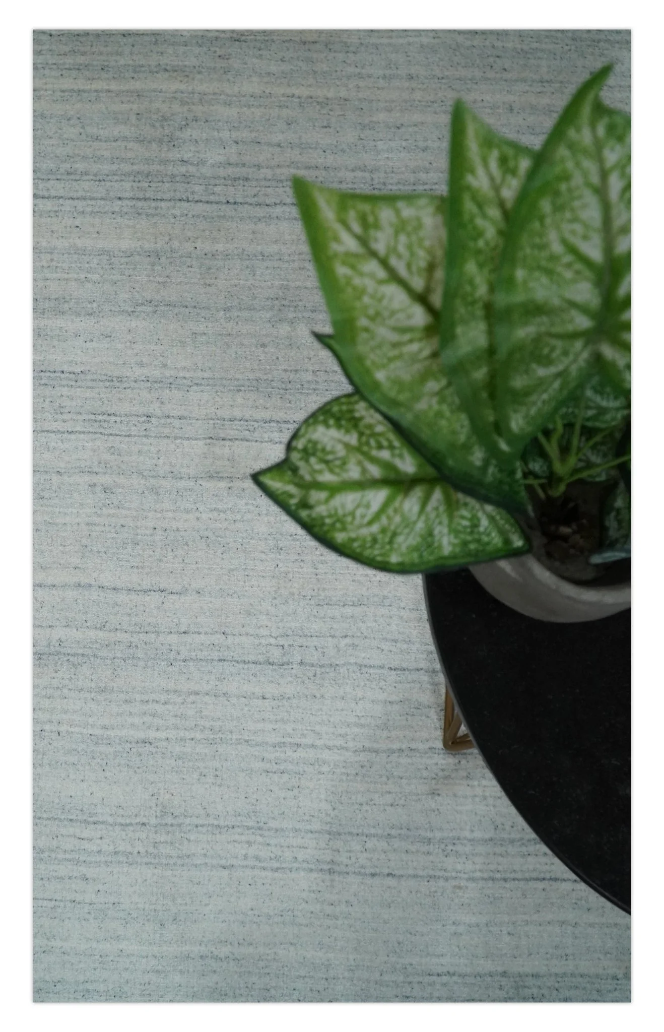 Solid Silver and White Scandinavian 5x7 Blended Wool Flatwoven Area Rug | HL22 - Image 10
