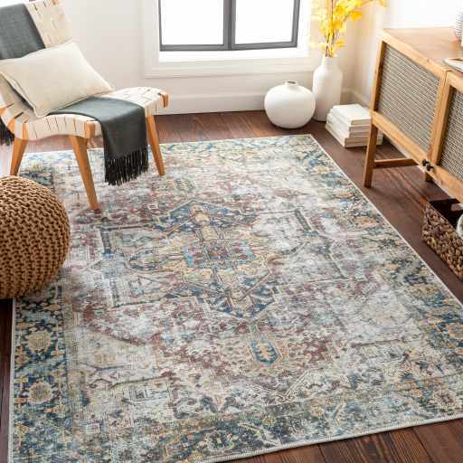 Distressed Finished Beige, Brown and Blue Traditional Washable Area Rug - Image 2