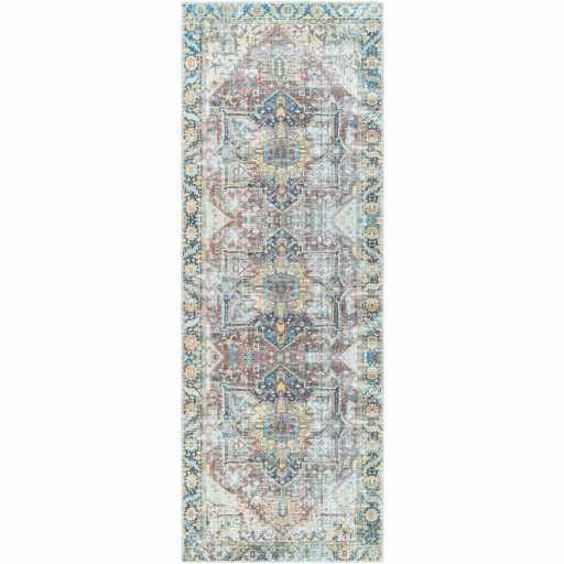 Distressed Finished Beige, Brown and Blue Traditional Washable Area Rug - Image 5