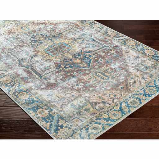 Distressed Finished Beige, Brown and Blue Traditional Washable Area Rug - Image 6