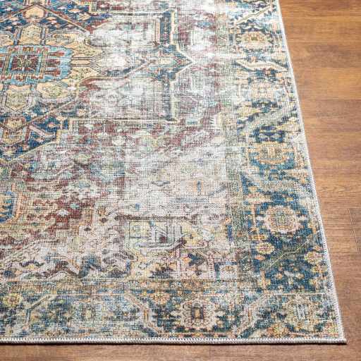 Distressed Finished Beige, Brown and Blue Traditional Washable Area Rug - Image 8