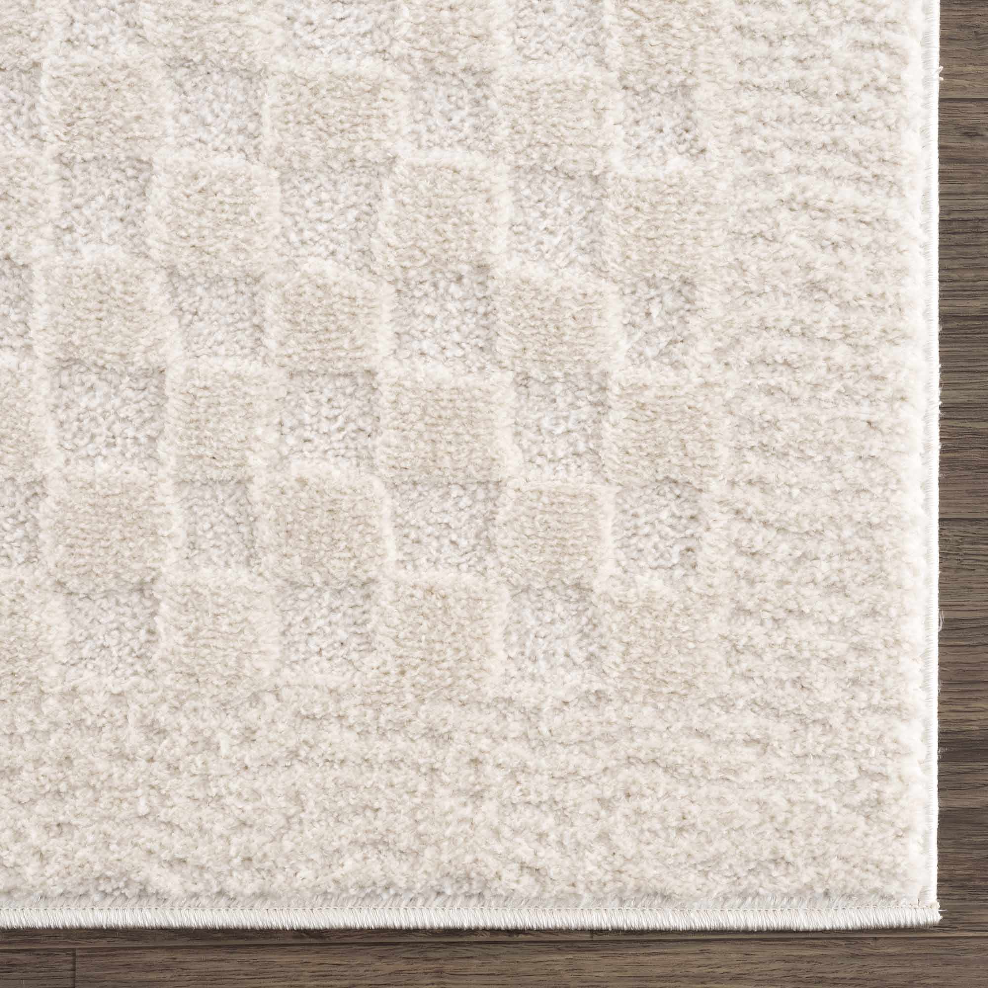 Modern Geometrical Beige Checkered Plush Pile Moroccan Style Area Rug - Image 12