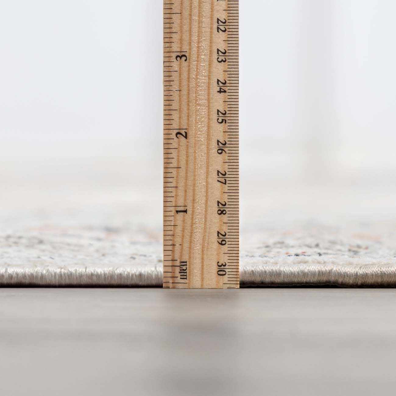 Gray And Cream Traditional Style Area Rug - Image 11