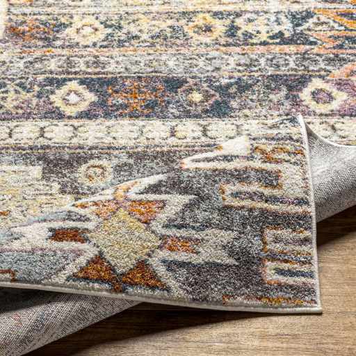 Gray, Beige and Gold Traditional Southwestern Multi size Area Rug - Image 10