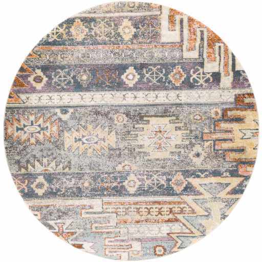 Gray, Beige and Gold Traditional Southwestern Multi size Area Rug - Image 6