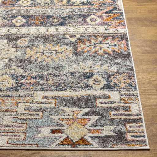 Gray, Beige and Gold Traditional Southwestern Multi size Area Rug - Image 7